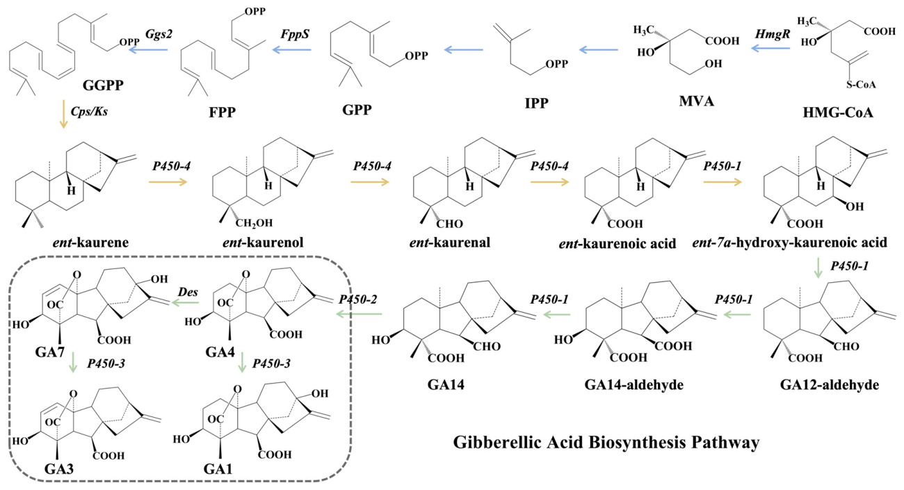 Molecules 31 02367 g001