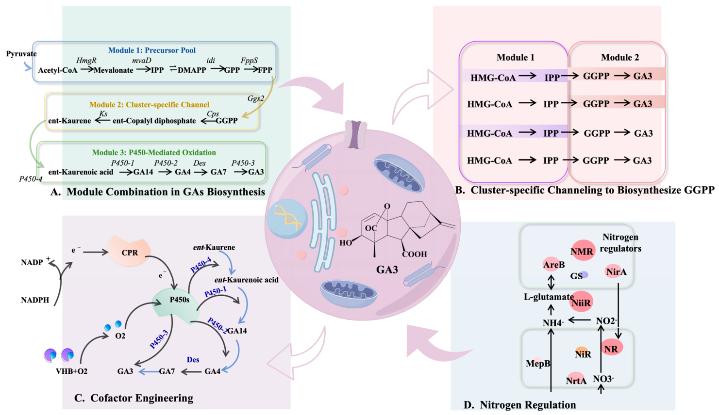 Molecules 31 02367 g002