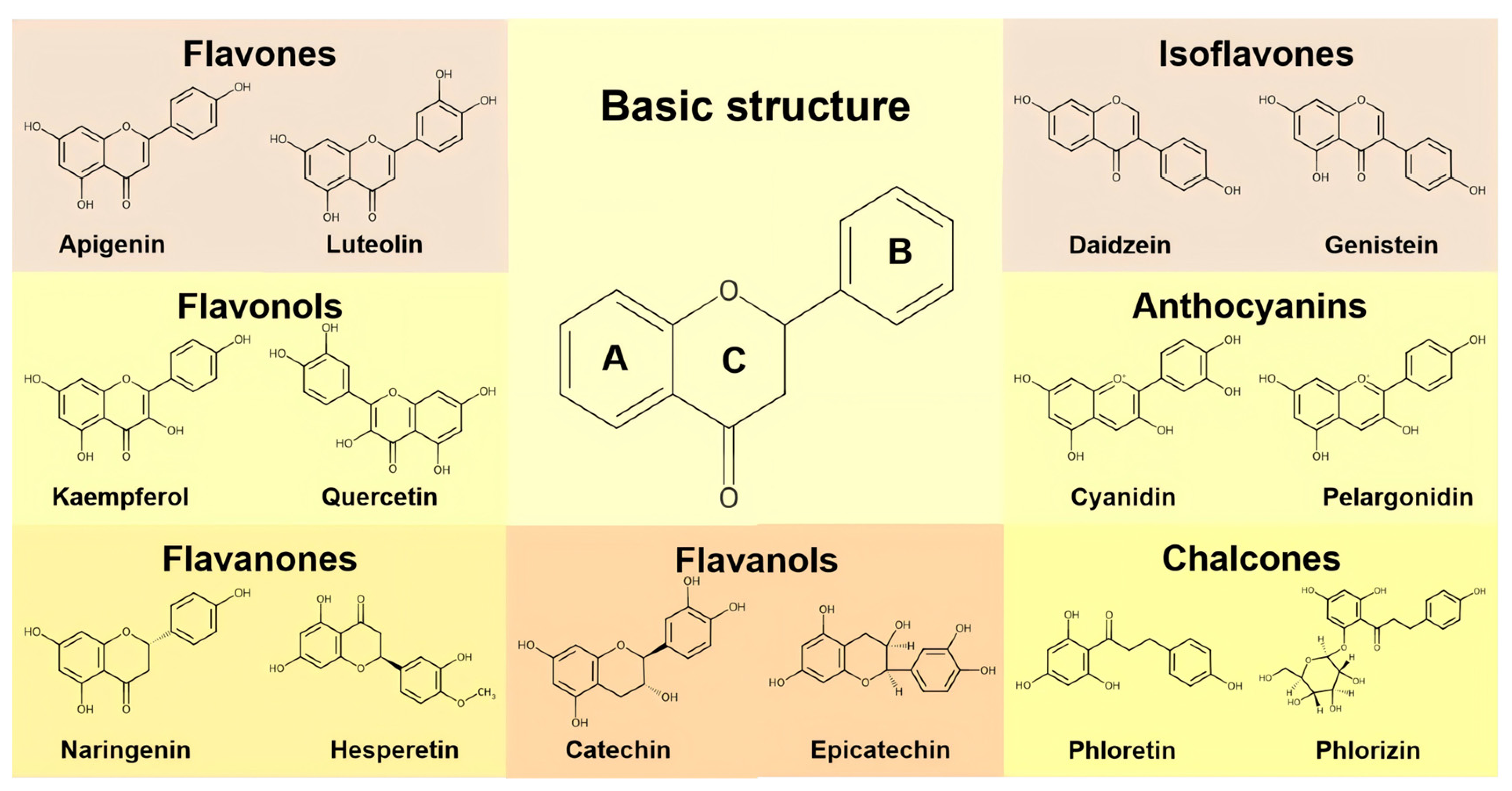 Molecules 31 02379 g001