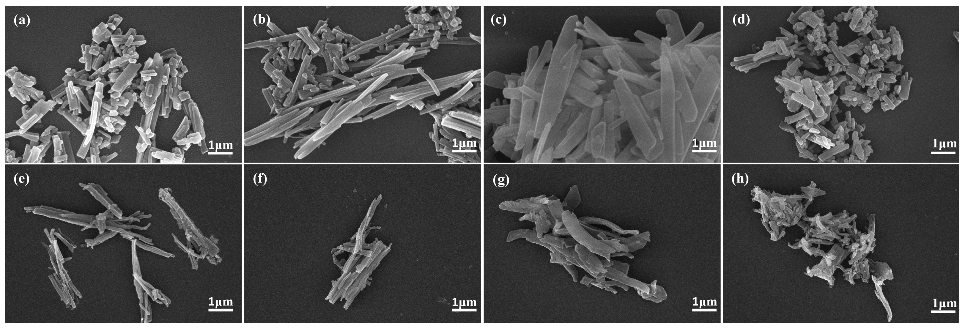 Molecules 31 02424 g002 Molecules 31 02424 g002