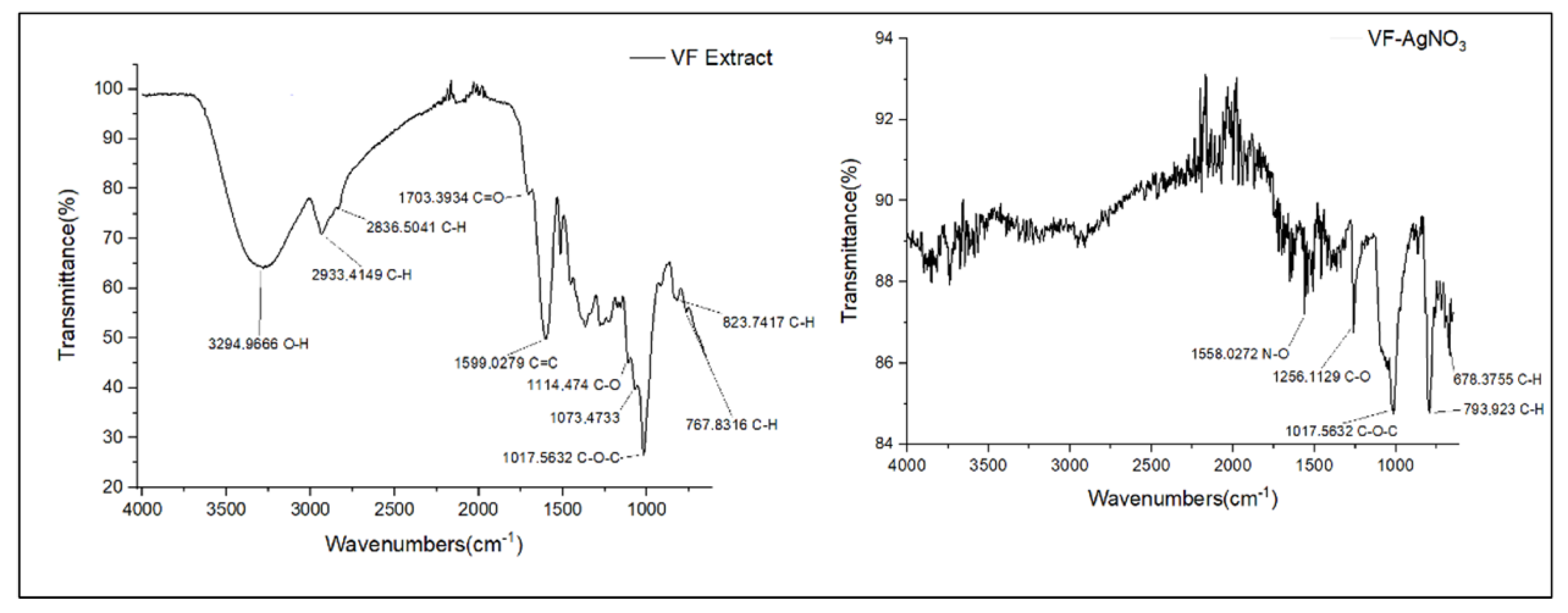 Molecules 31 02428 g010 Molecules 31 02428 g010