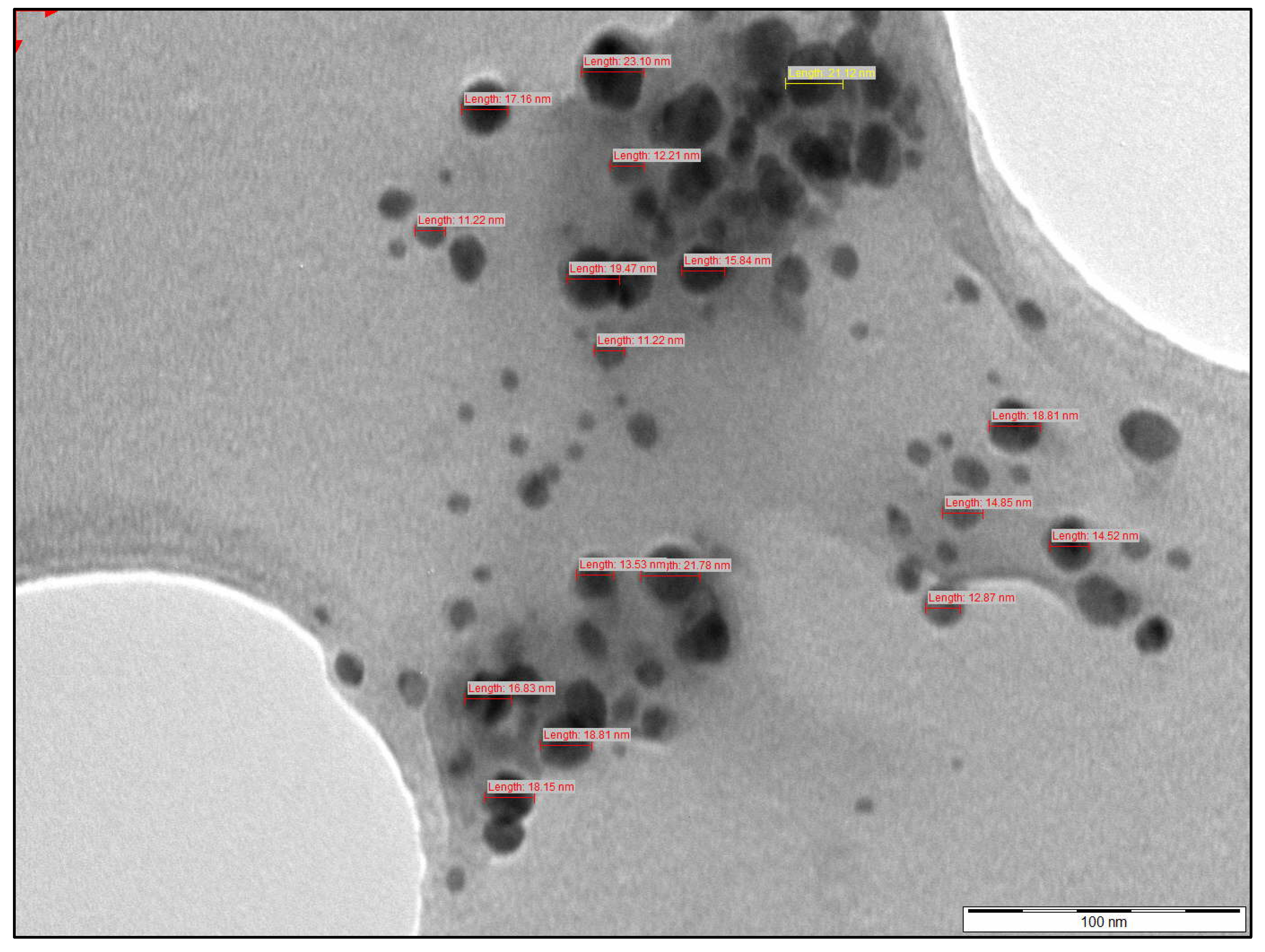 Molecules 31 02428 g011 Molecules 31 02428 g011