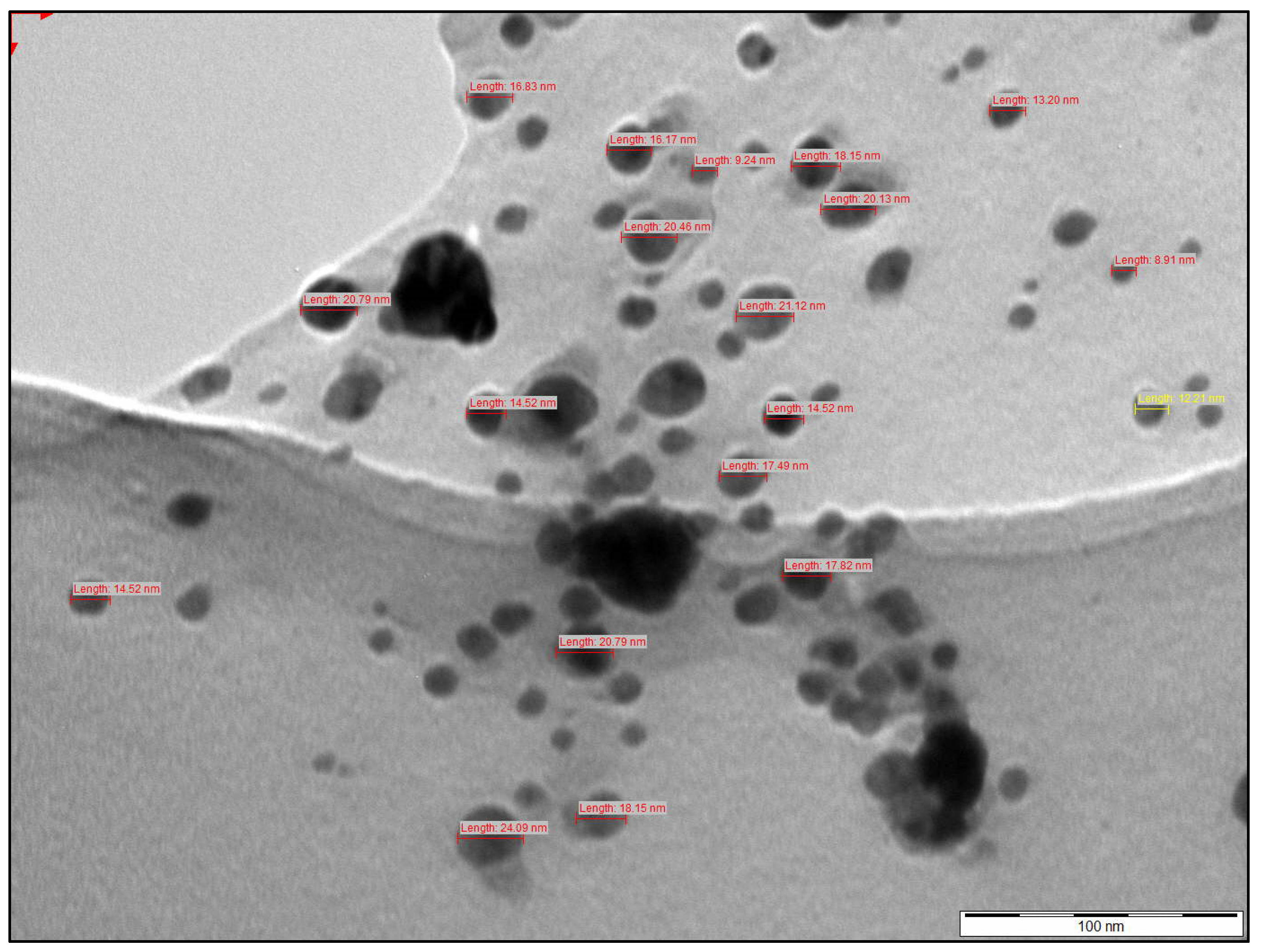 Molecules 31 02428 g012 Molecules 31 02428 g012