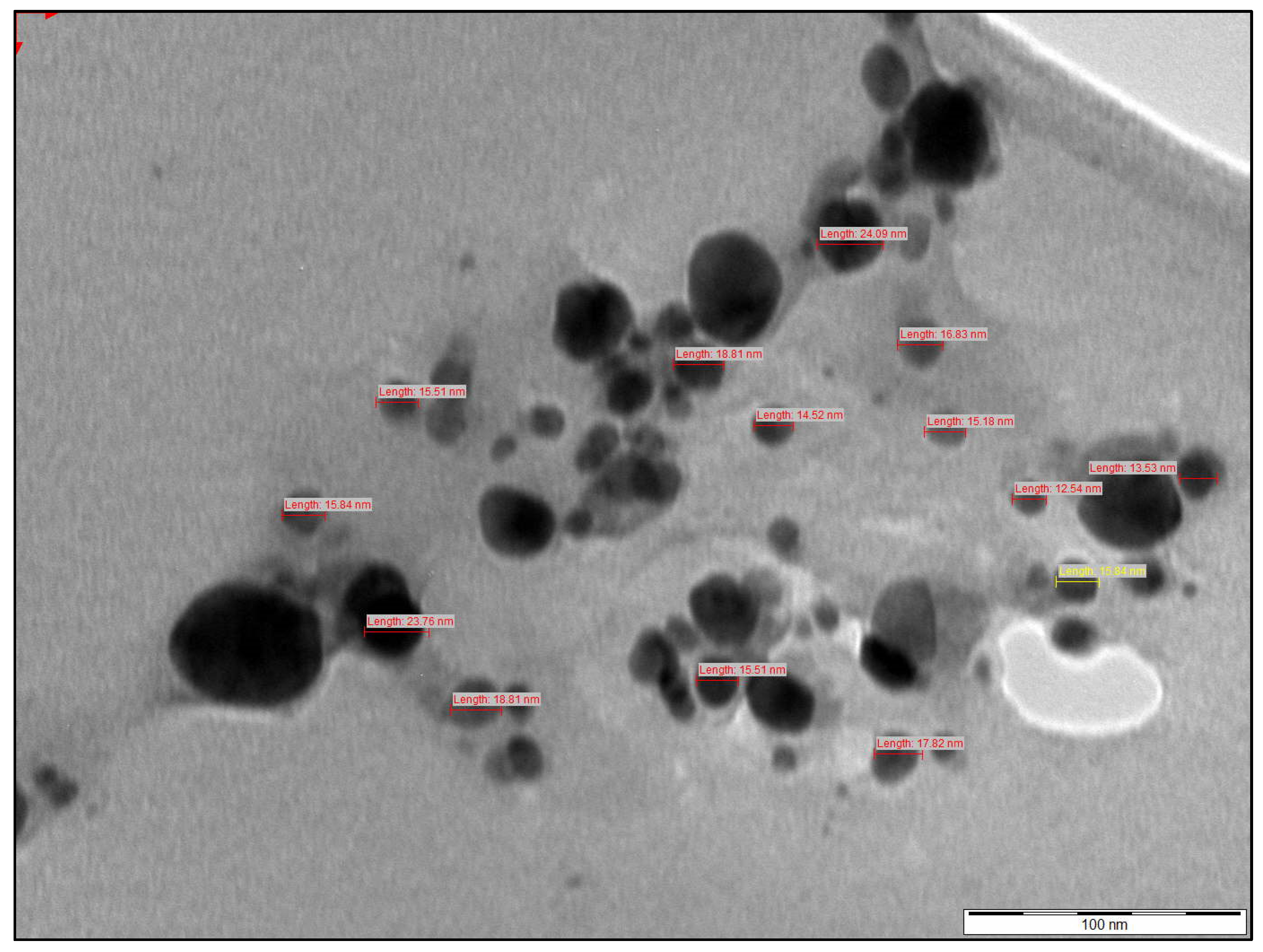 Molecules 31 02428 g013 Molecules 31 02428 g013