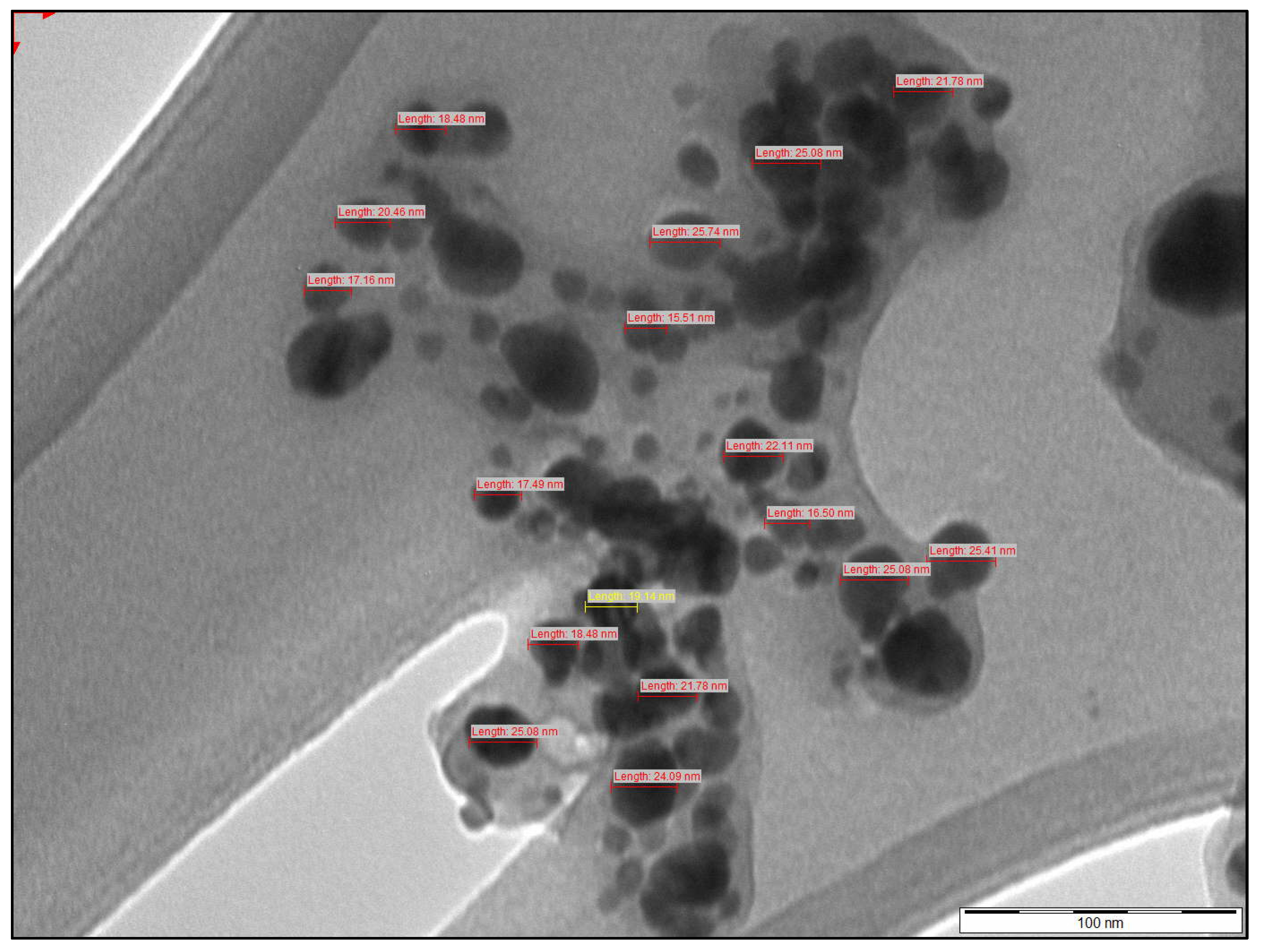 Molecules 31 02428 g014 Molecules 31 02428 g014