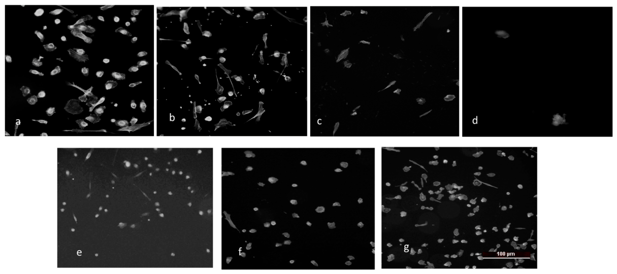 Molecules 31 02435 g008