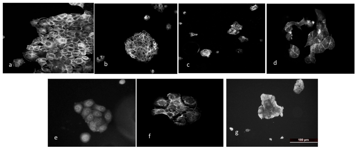 Molecules 31 02435 g009