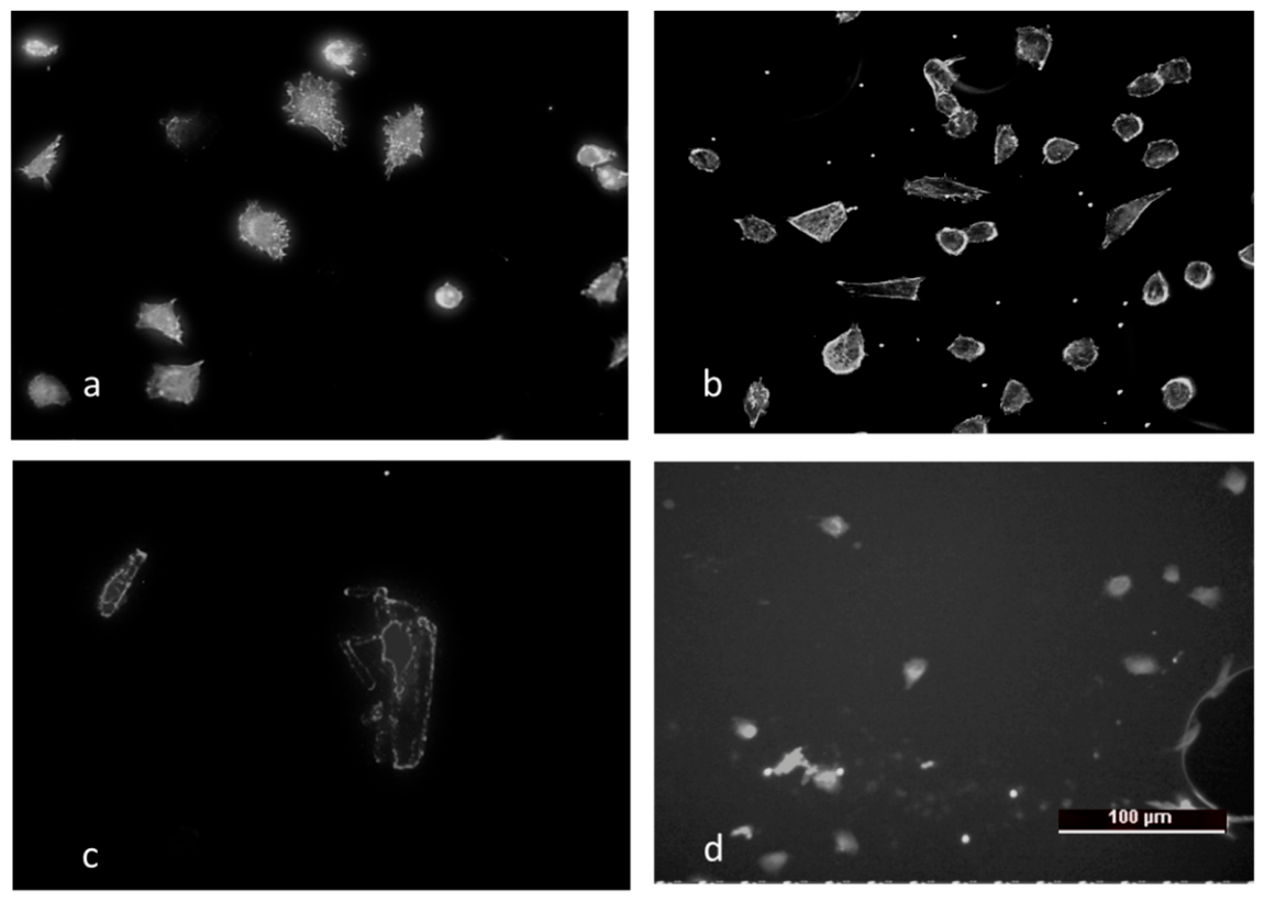 Molecules 31 02435 g010