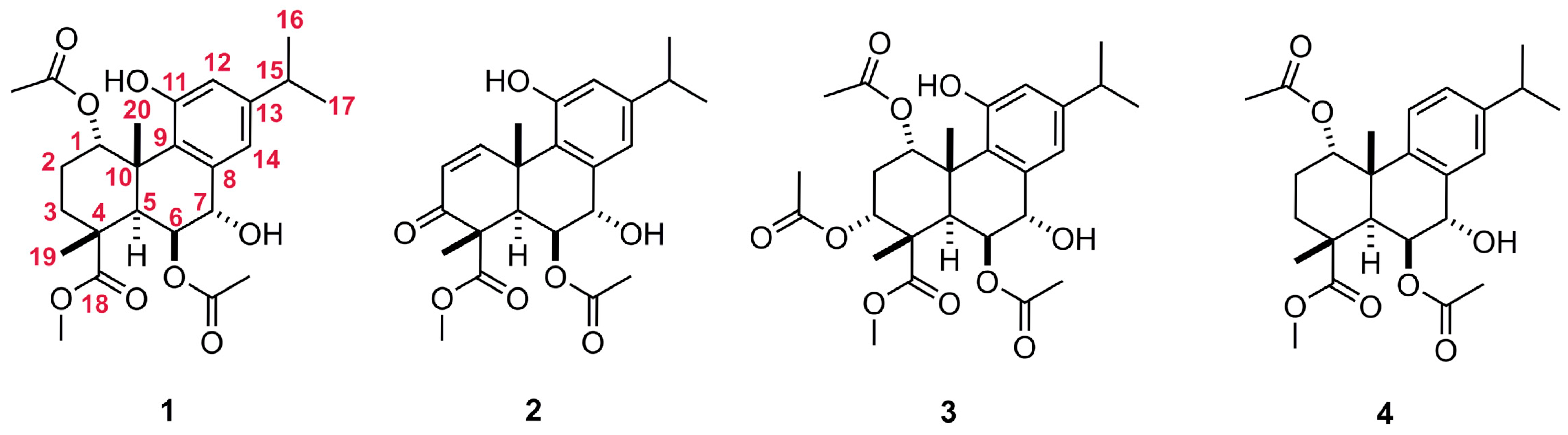Molecules 31 02441 g001 Molecules 31 02441 g001