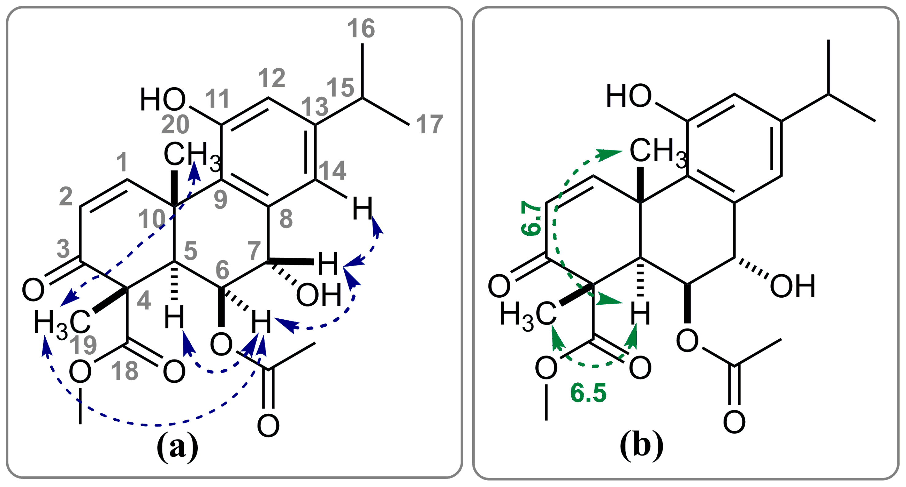 Molecules 31 02441 g002 Molecules 31 02441 g002