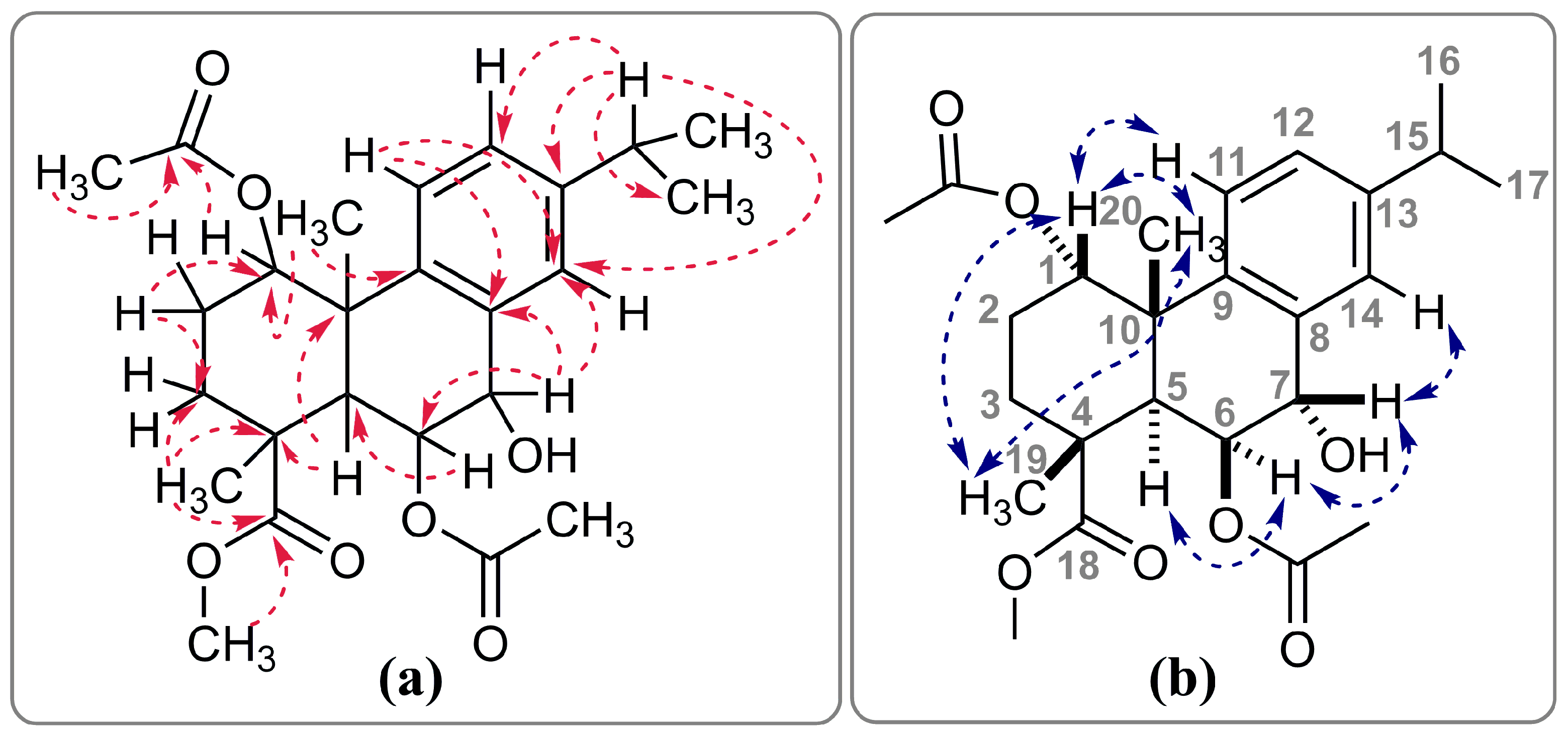 Molecules 31 02441 g005 Molecules 31 02441 g005
