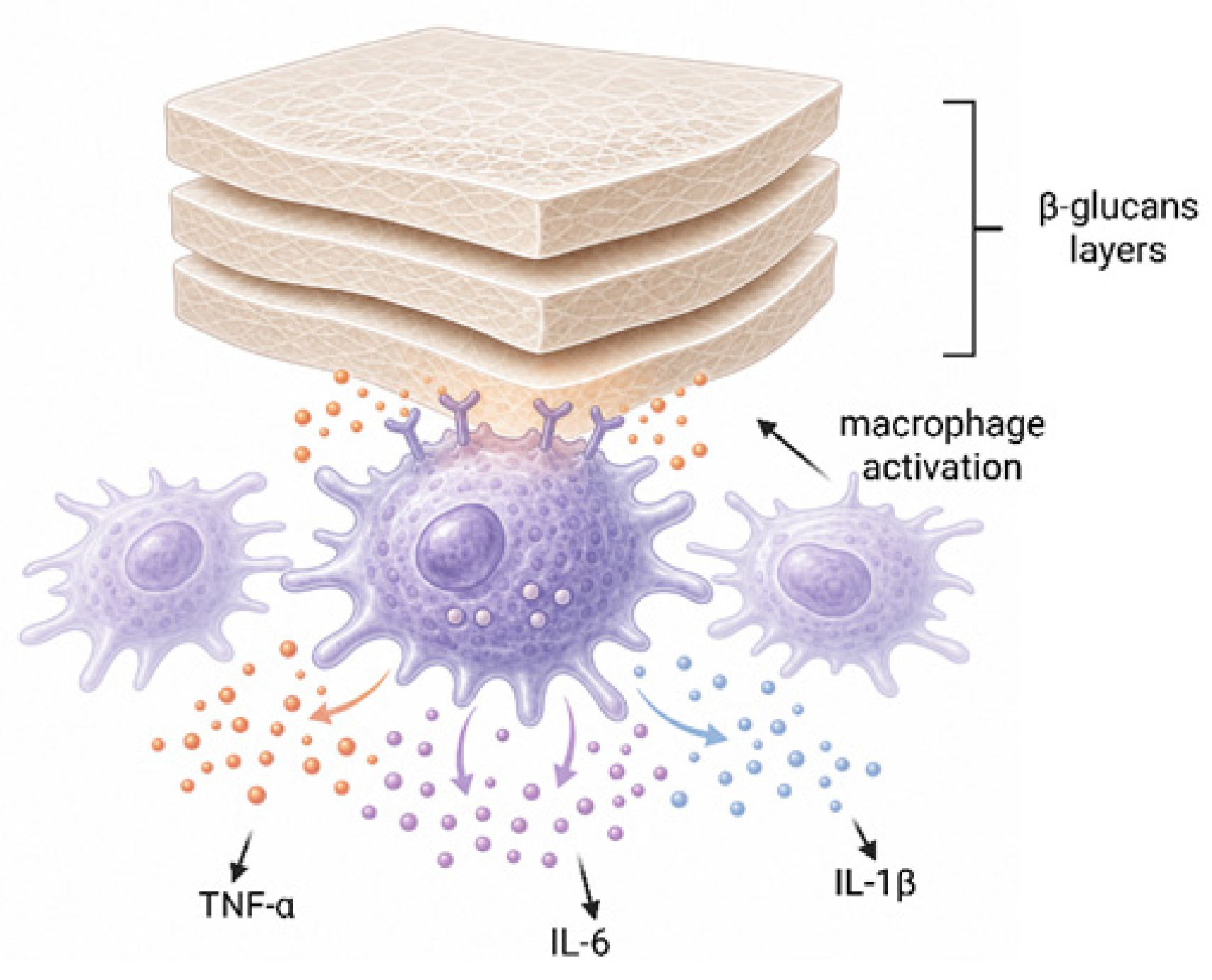 Molecules 31 02481 g004 Molecules 31 02481 g004