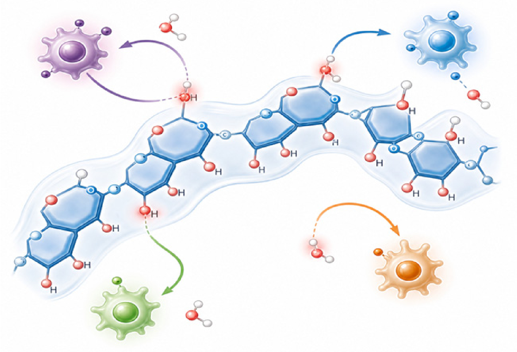 Molecules 31 02481 g005 Molecules 31 02481 g005