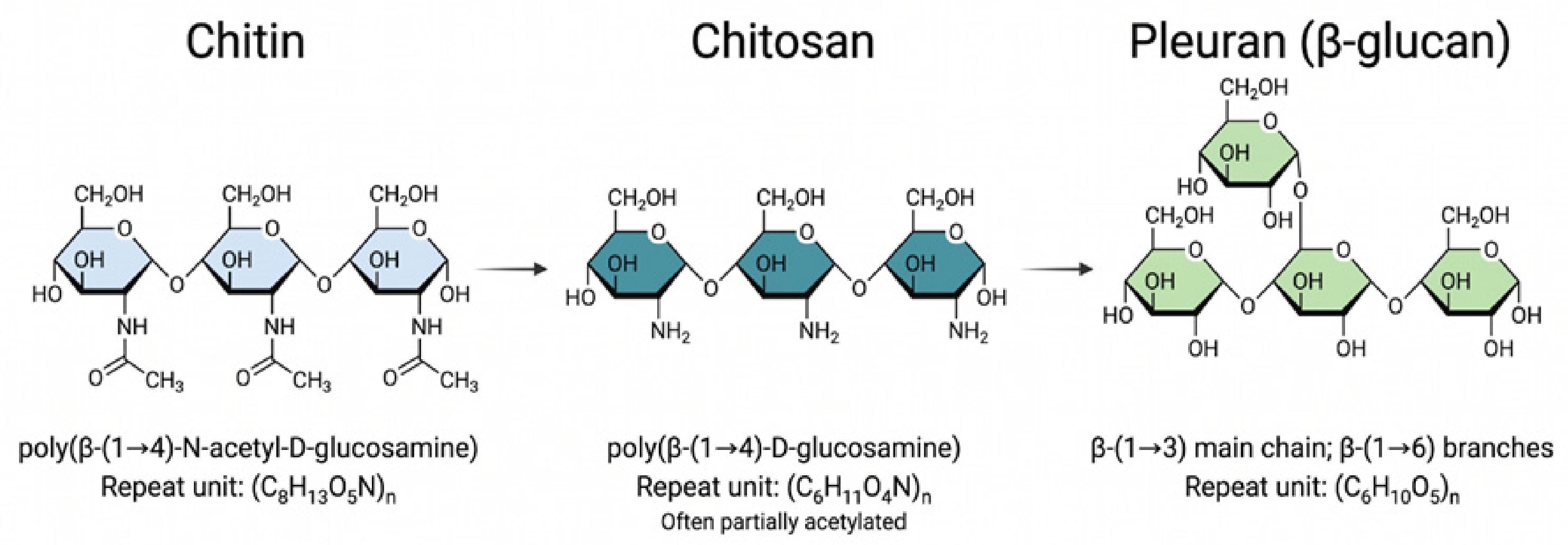 Molecules 31 02481 g007 Molecules 31 02481 g007