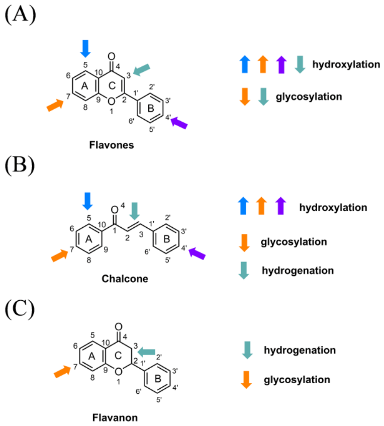 Molecules 31 02485 g002 Molecules 31 02485 g002