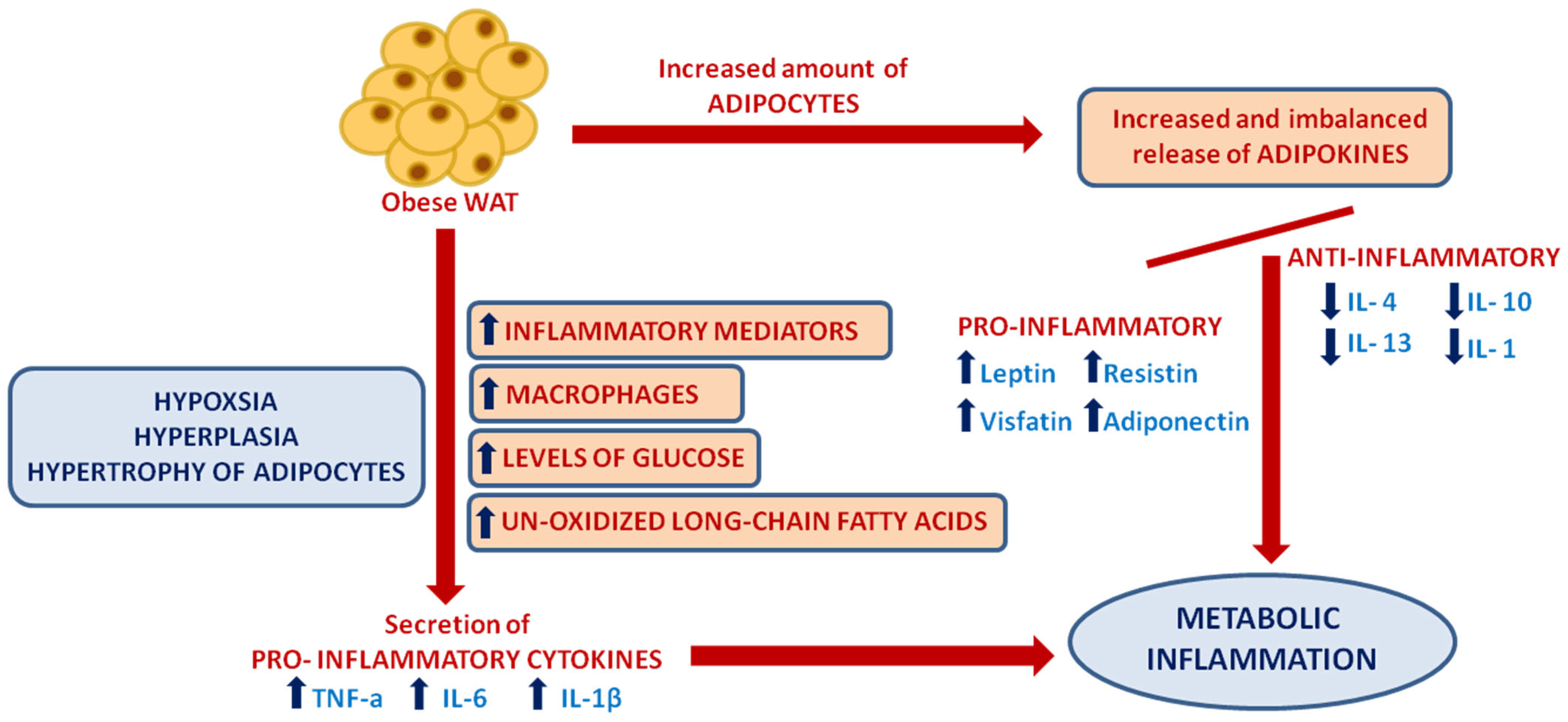 Molecules 31 02524 g002 Molecules 31 02524 g002