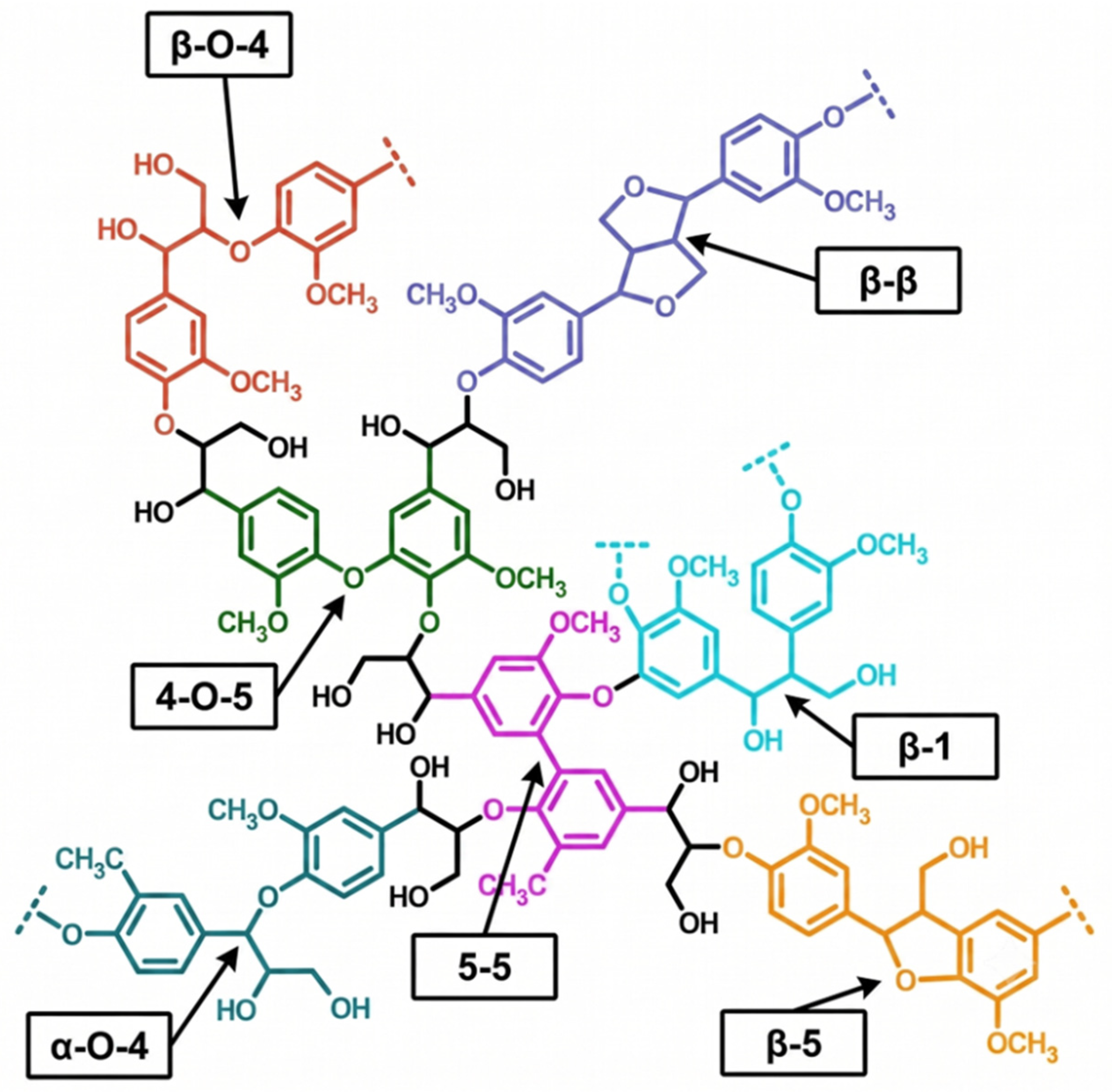 Molecules 31 02607 g001 Molecules 31 02607 g001