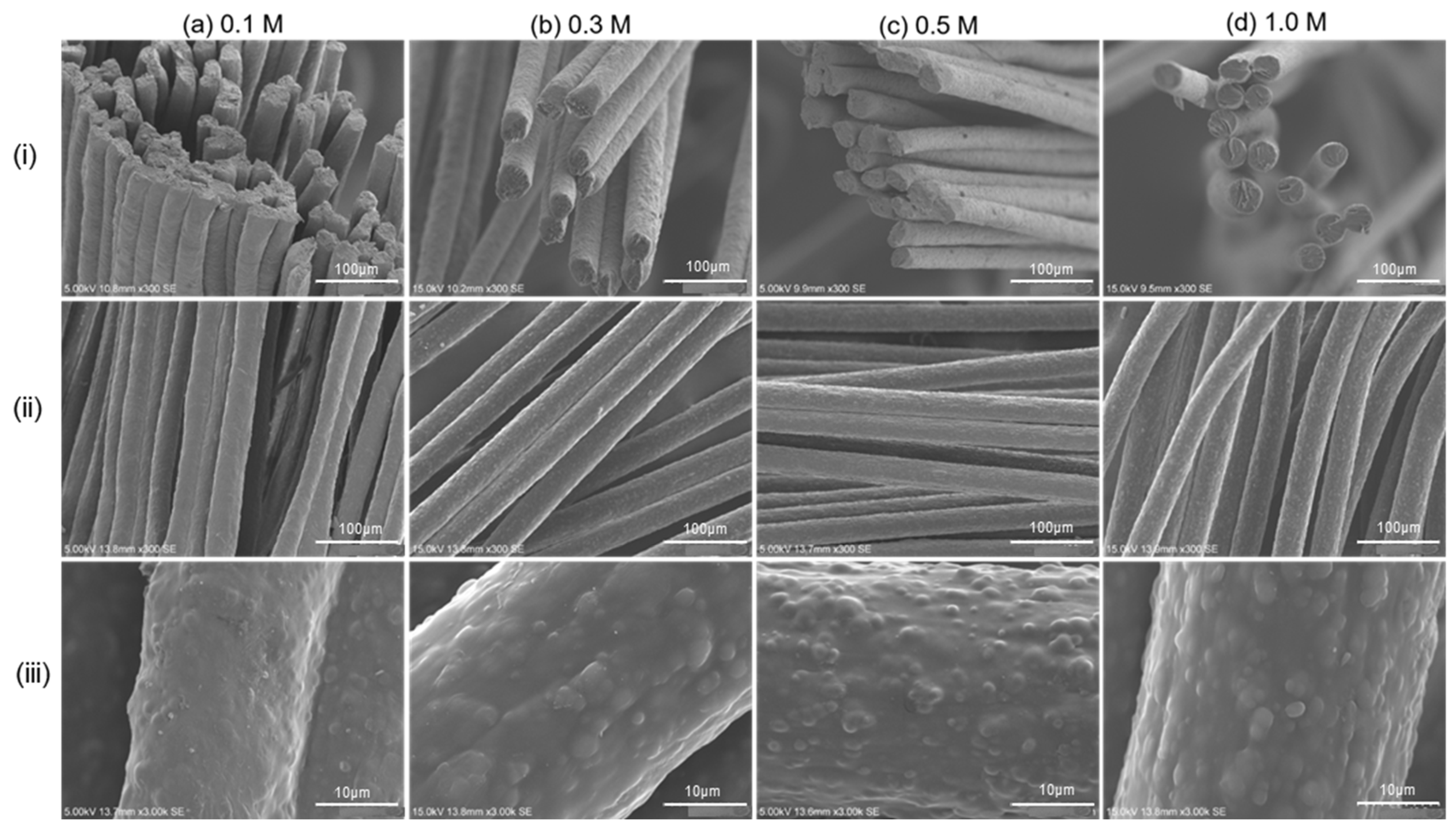 Molecules 31 02607 g007 Molecules 31 02607 g007