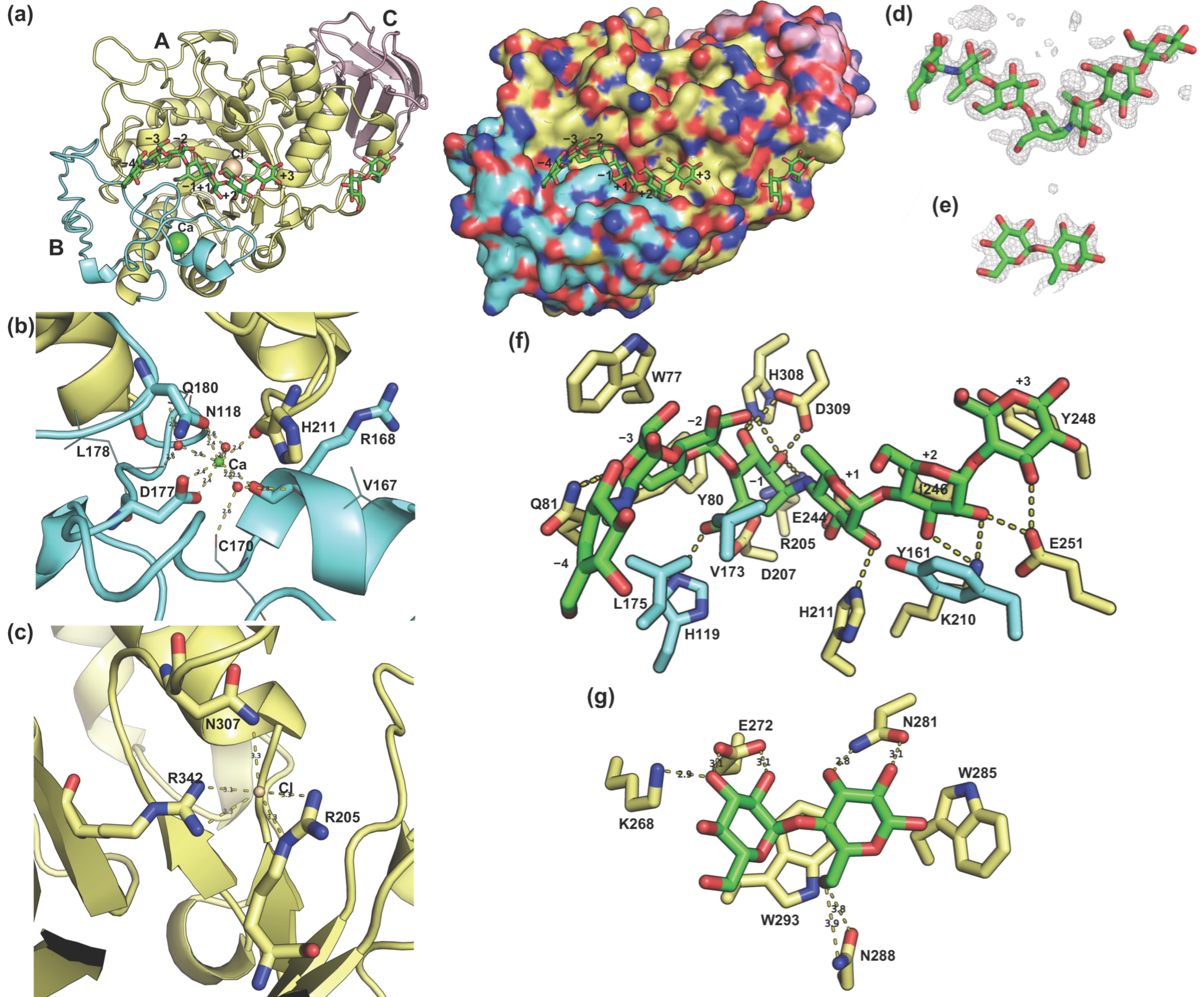 Molecules 31 02615 g006 Molecules 31 02615 g006