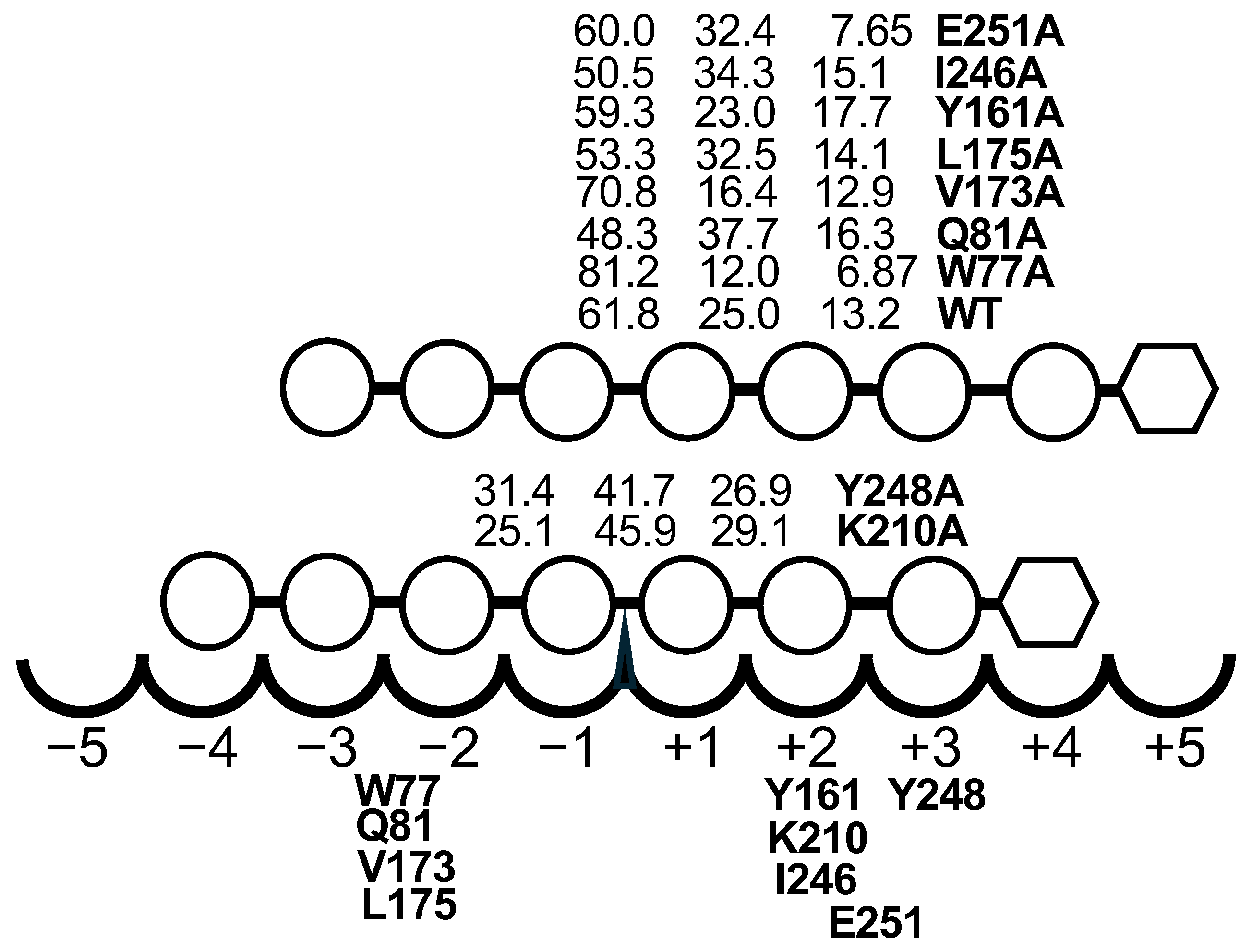 Molecules 31 02615 g007 Molecules 31 02615 g007