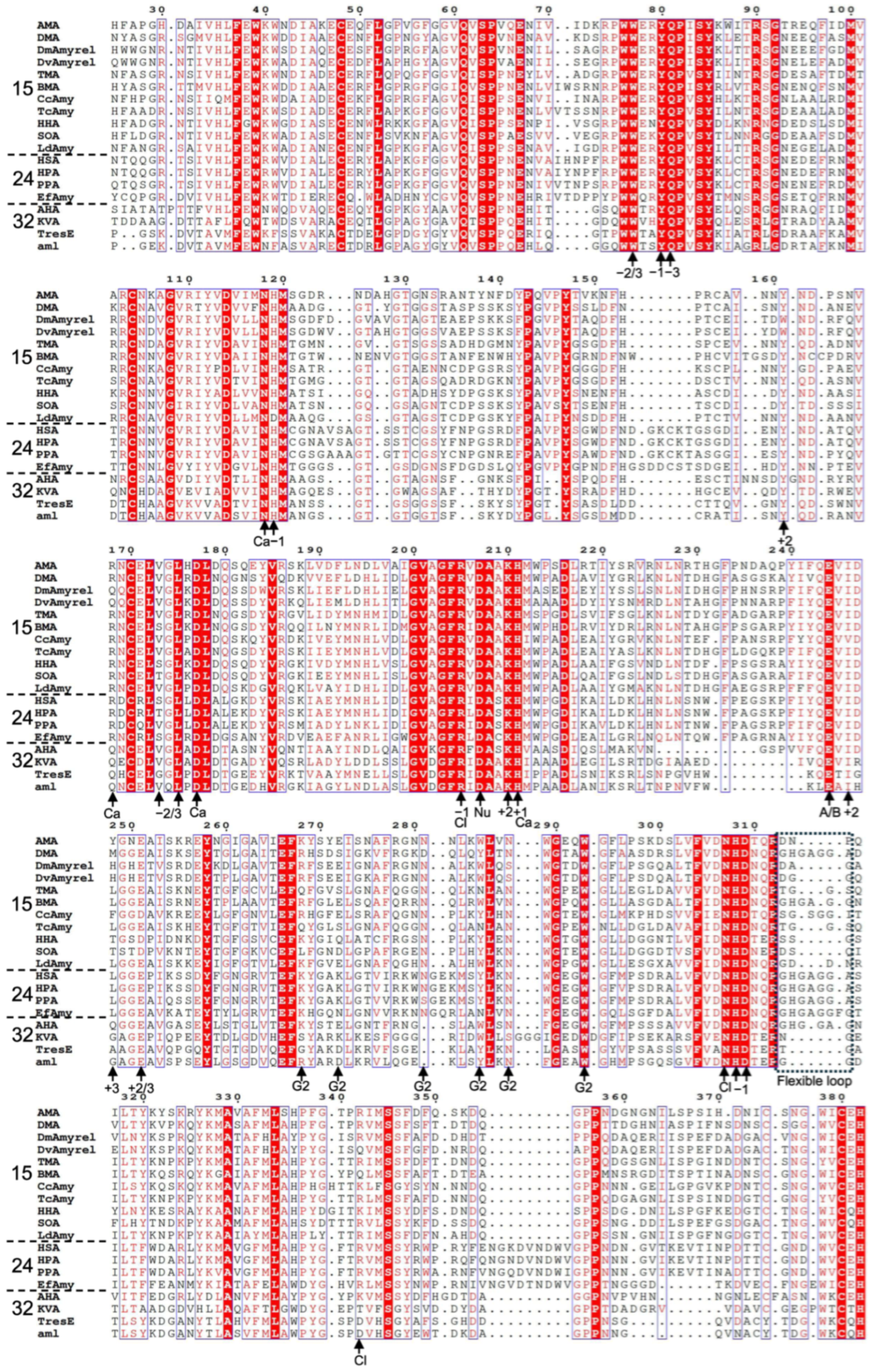 Molecules 31 02615 g009 Molecules 31 02615 g009