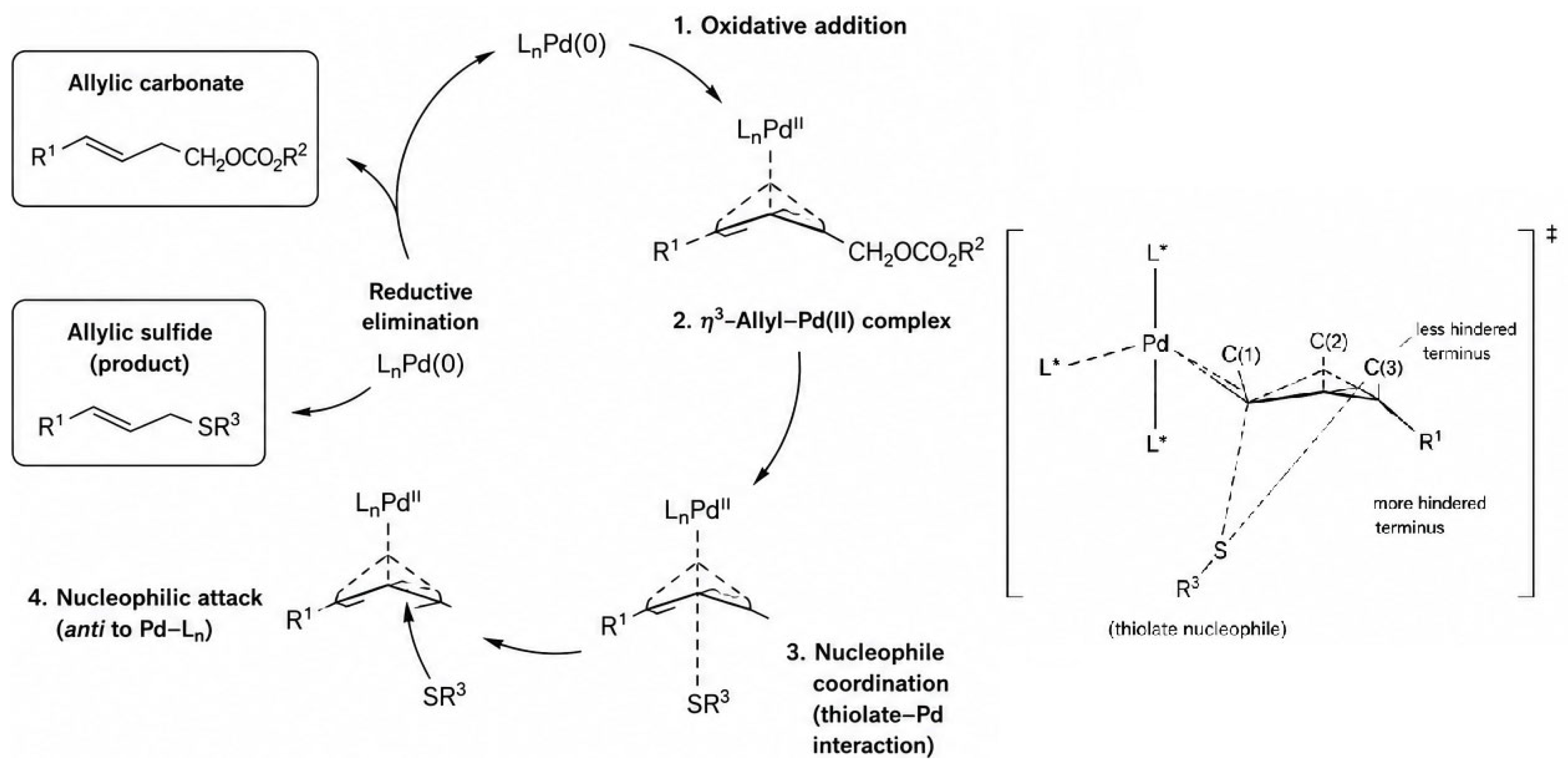 Molecules 31 02616 g001 Molecules 31 02616 g001