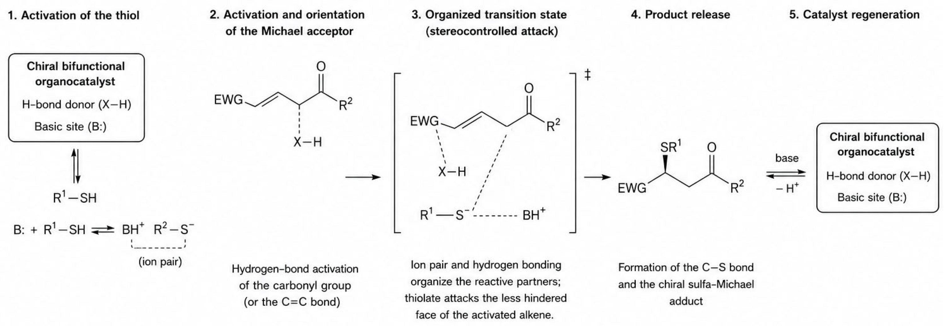 Molecules 31 02616 g003 Molecules 31 02616 g003