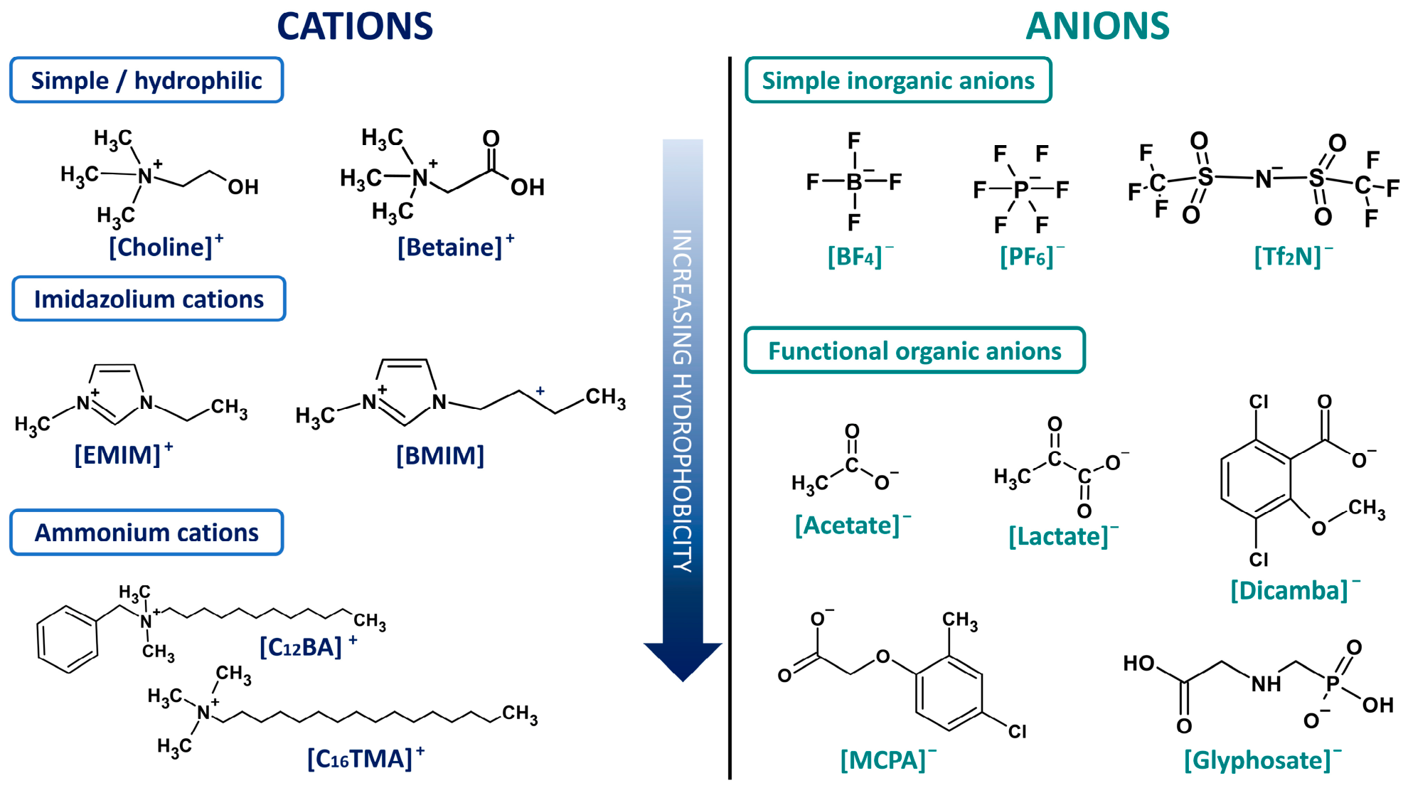 Molecules 31 02619 g002 Molecules 31 02619 g002