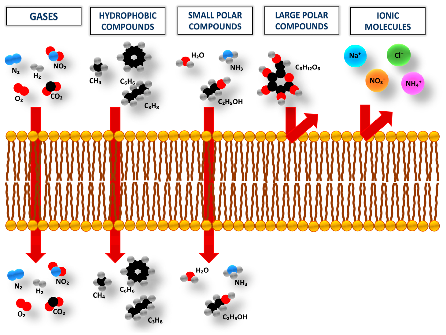 Molecules 31 02619 g003 Molecules 31 02619 g003