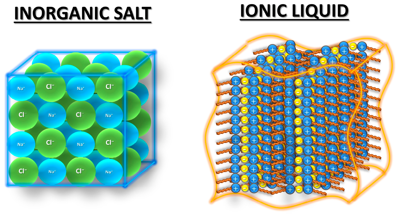 Molecules 31 02619 g005 Molecules 31 02619 g005