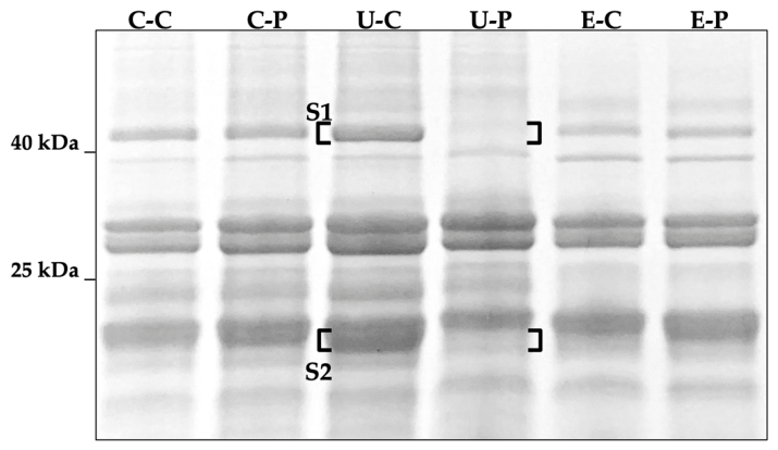 Molecules 31 02638 g003 Molecules 31 02638 g003