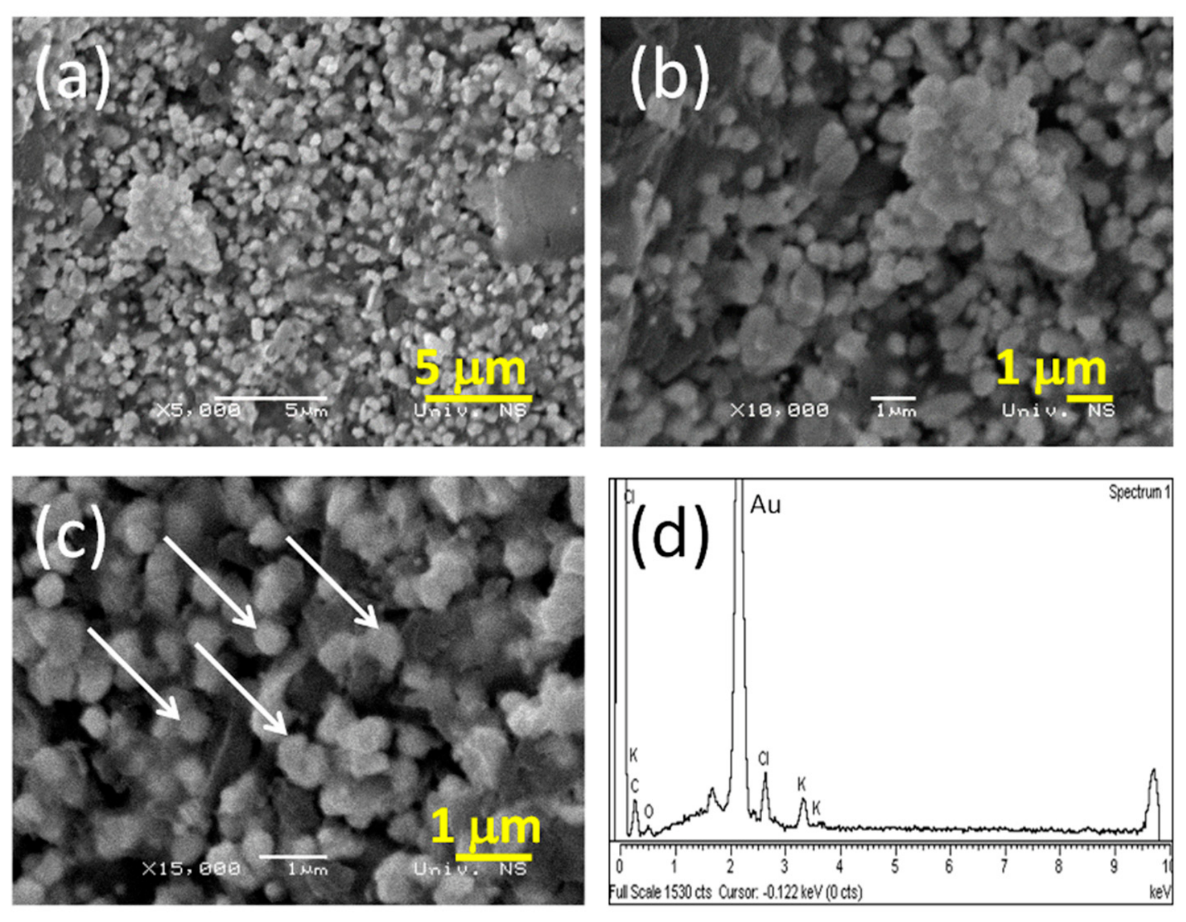 Molecules 31 02649 g001 Molecules 31 02649 g001