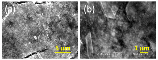 Molecules 31 02649 g002a Molecules 31 02649 g002a