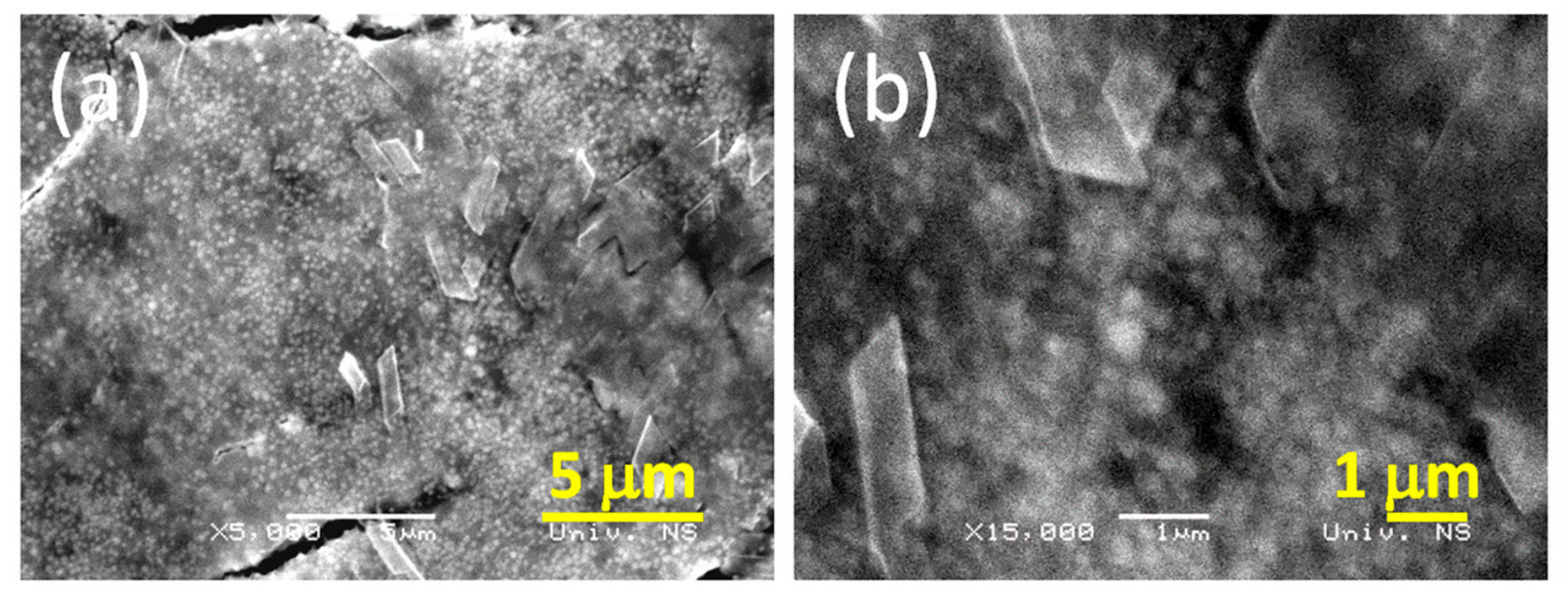 Molecules 31 02649 g002a Molecules 31 02649 g002a