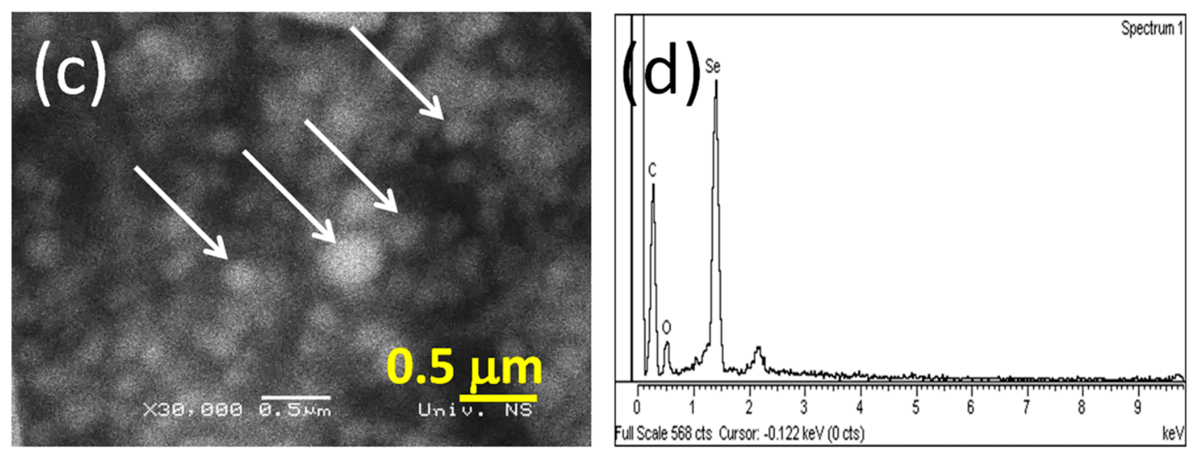 Molecules 31 02649 g002b Molecules 31 02649 g002b
