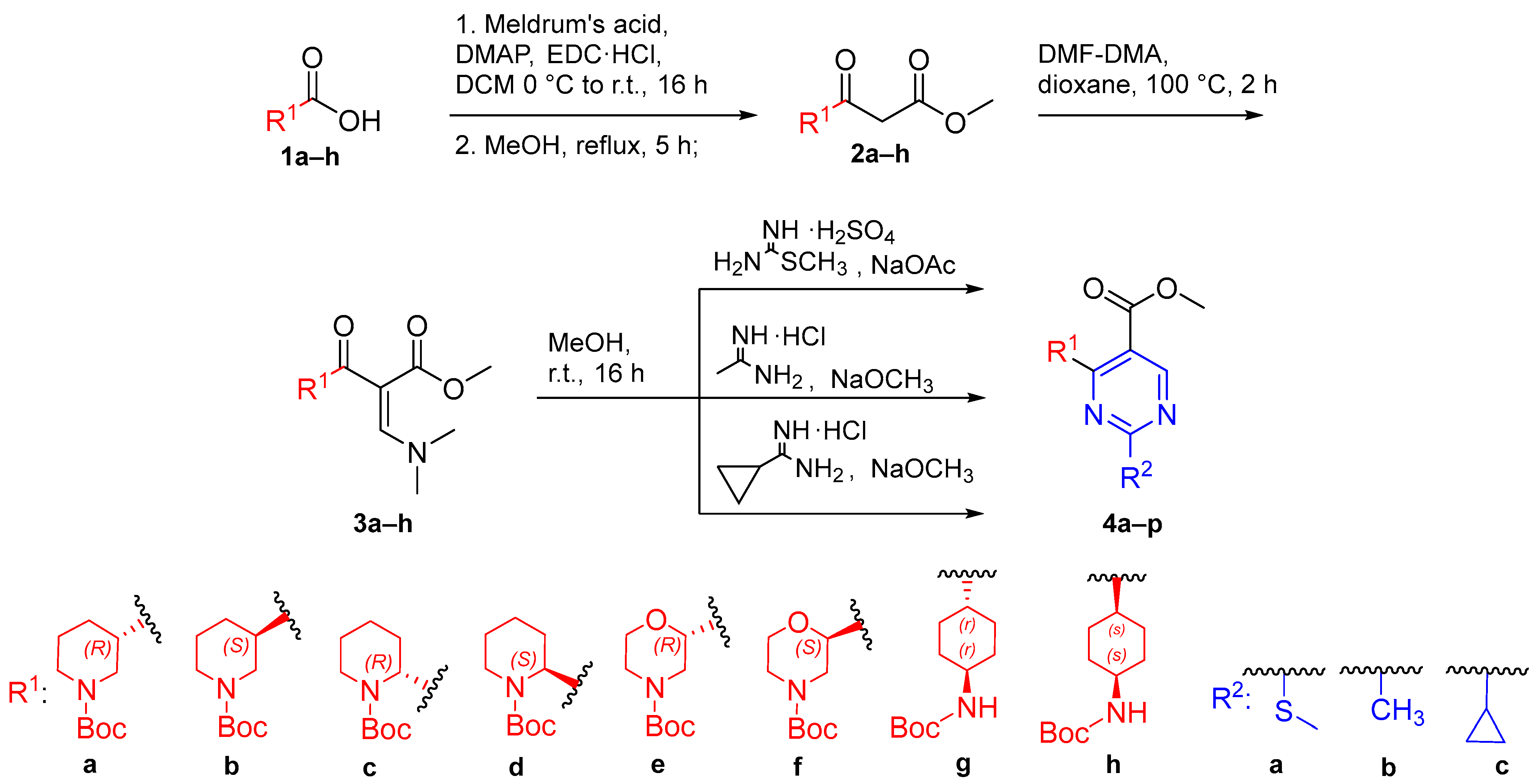Molecules 31 02689 sch001 Molecules 31 02689 sch001