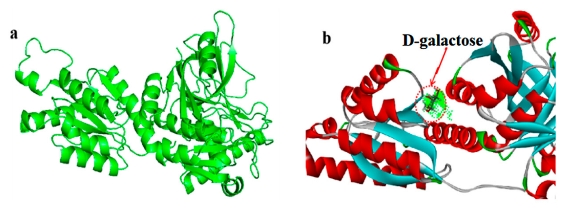 Molecules 31 02756 g006