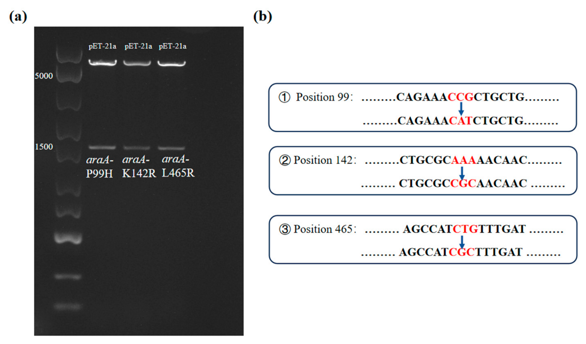 Molecules 31 02756 g007