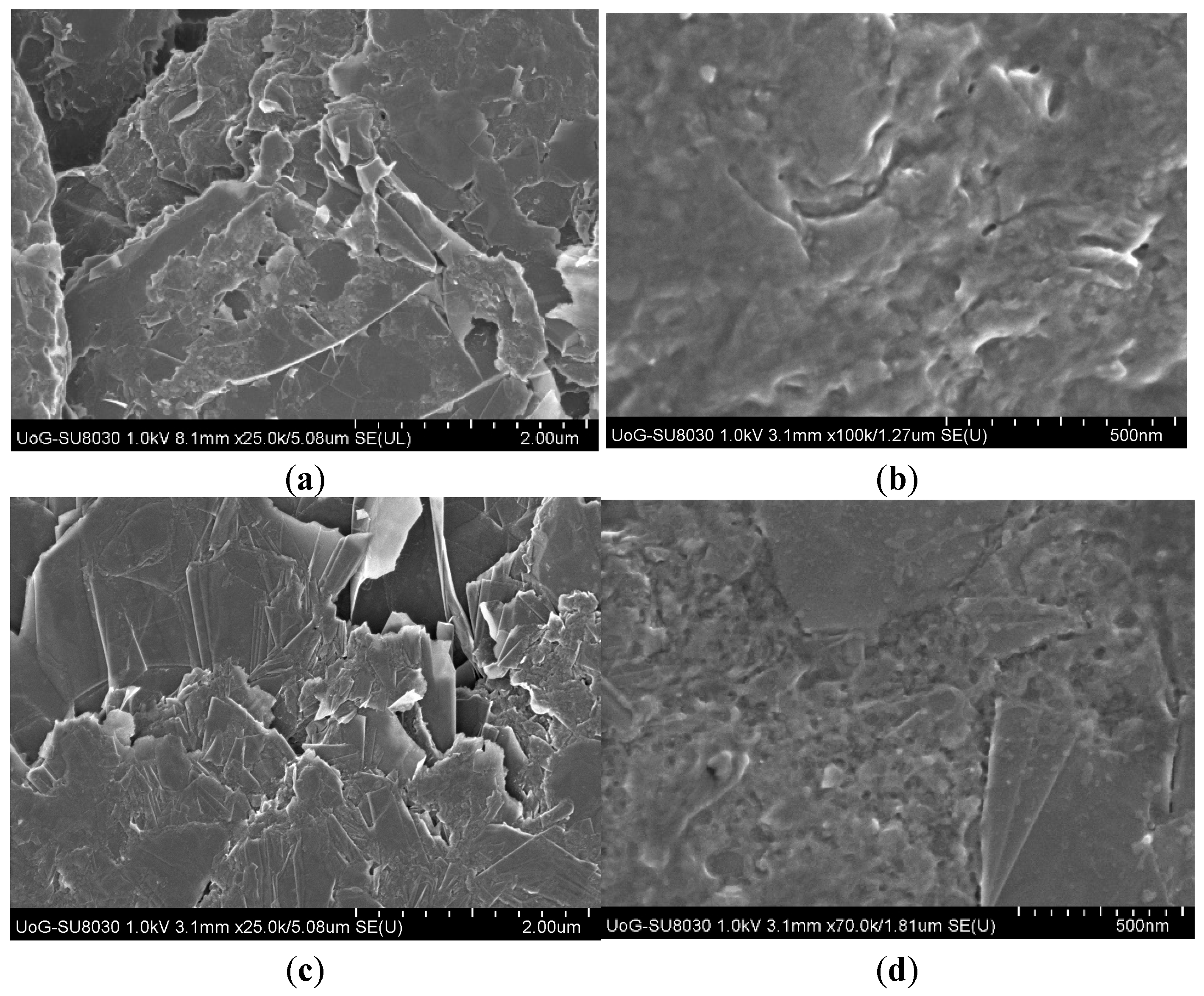 Molecules 31 02785 g001 Molecules 31 02785 g001