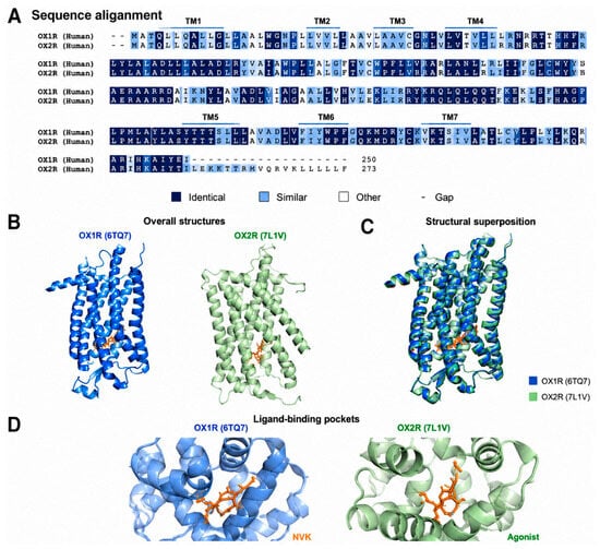 Molecules 31 02795 g002
