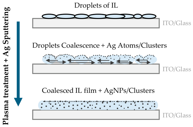 Molecules 31 02798 g002