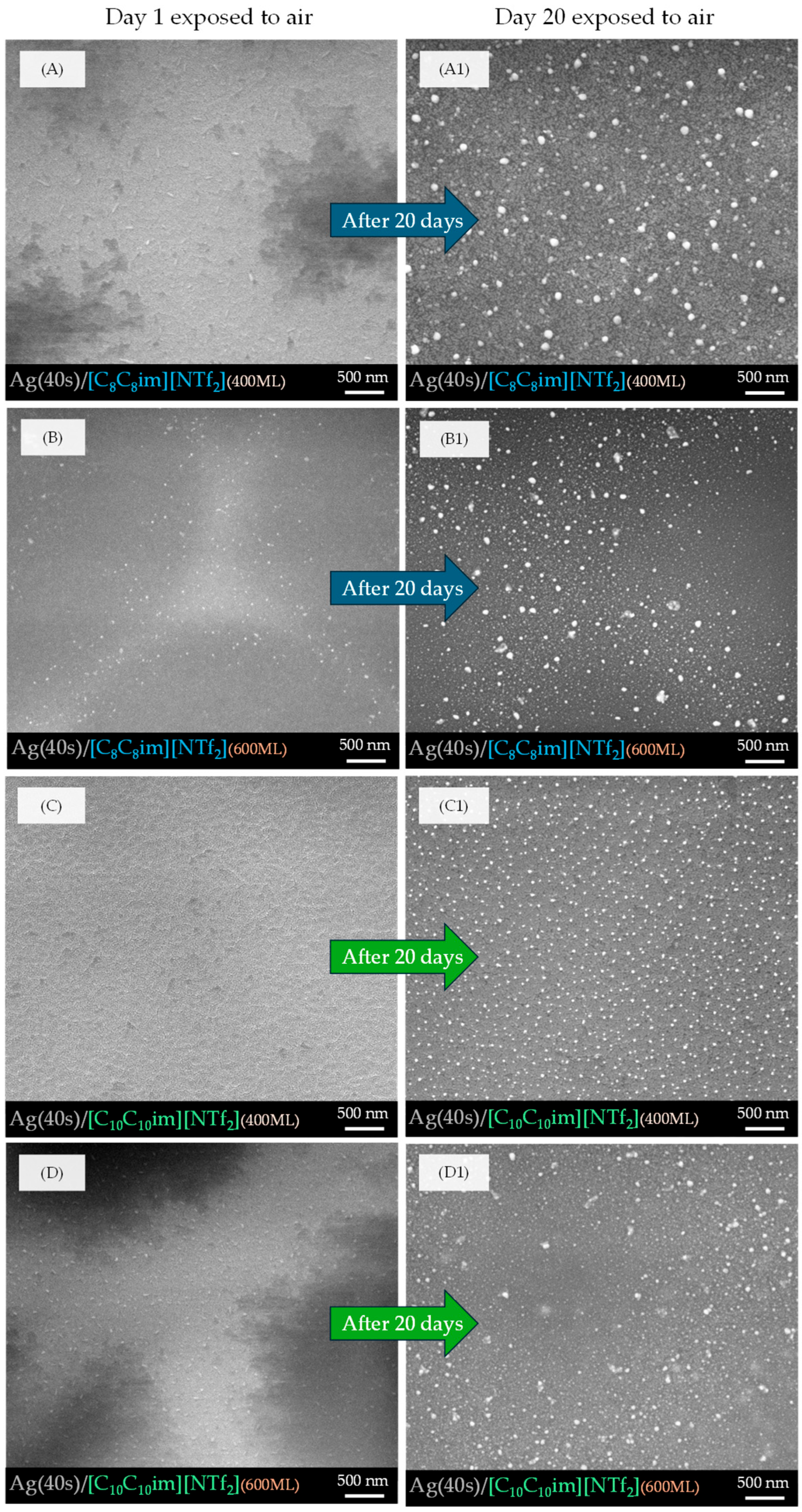 Molecules 31 02798 g004