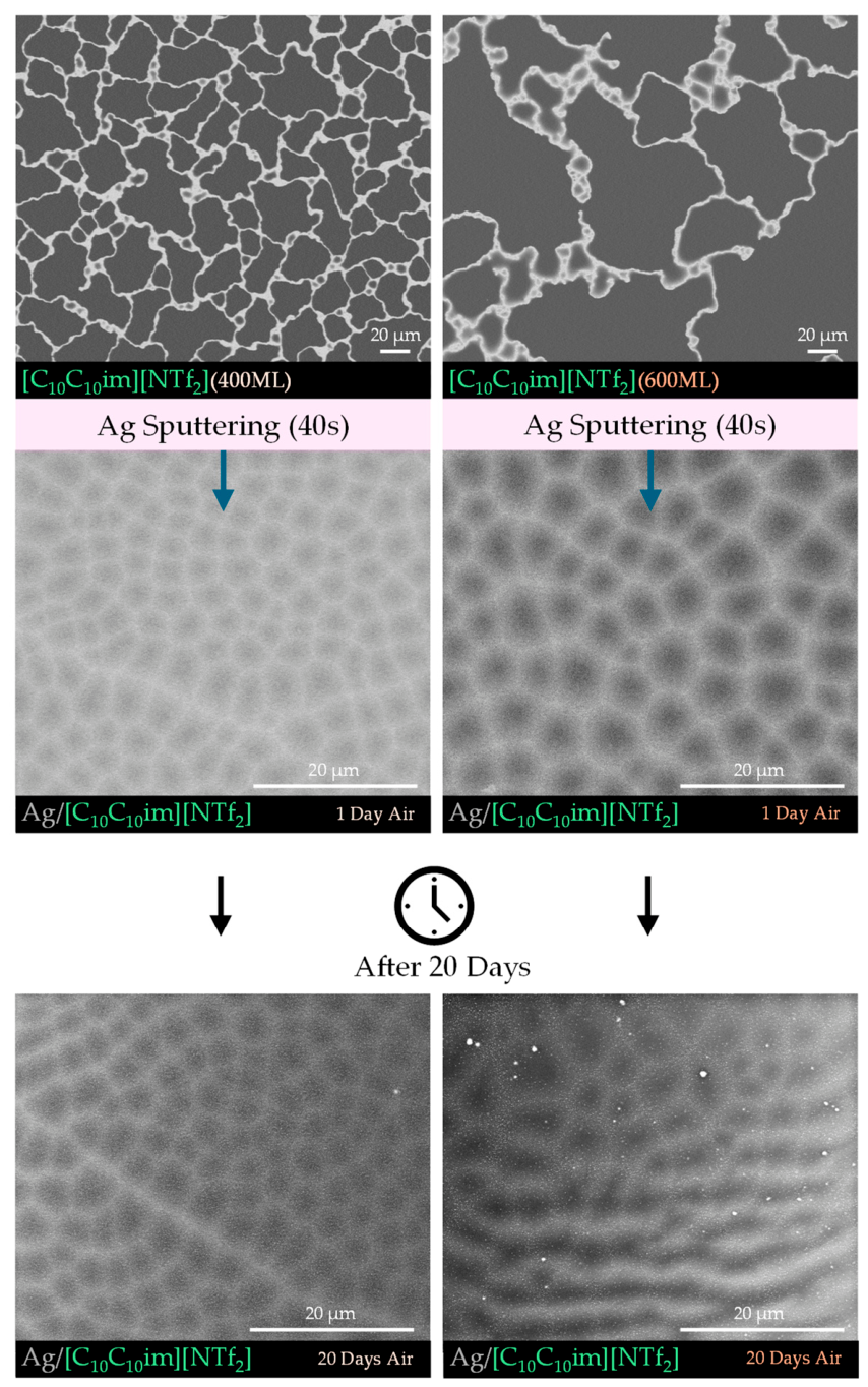 Molecules 31 02798 g008