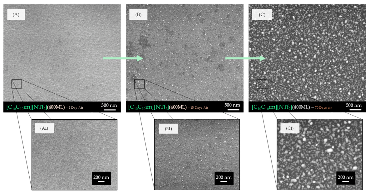 Molecules 31 02798 g009