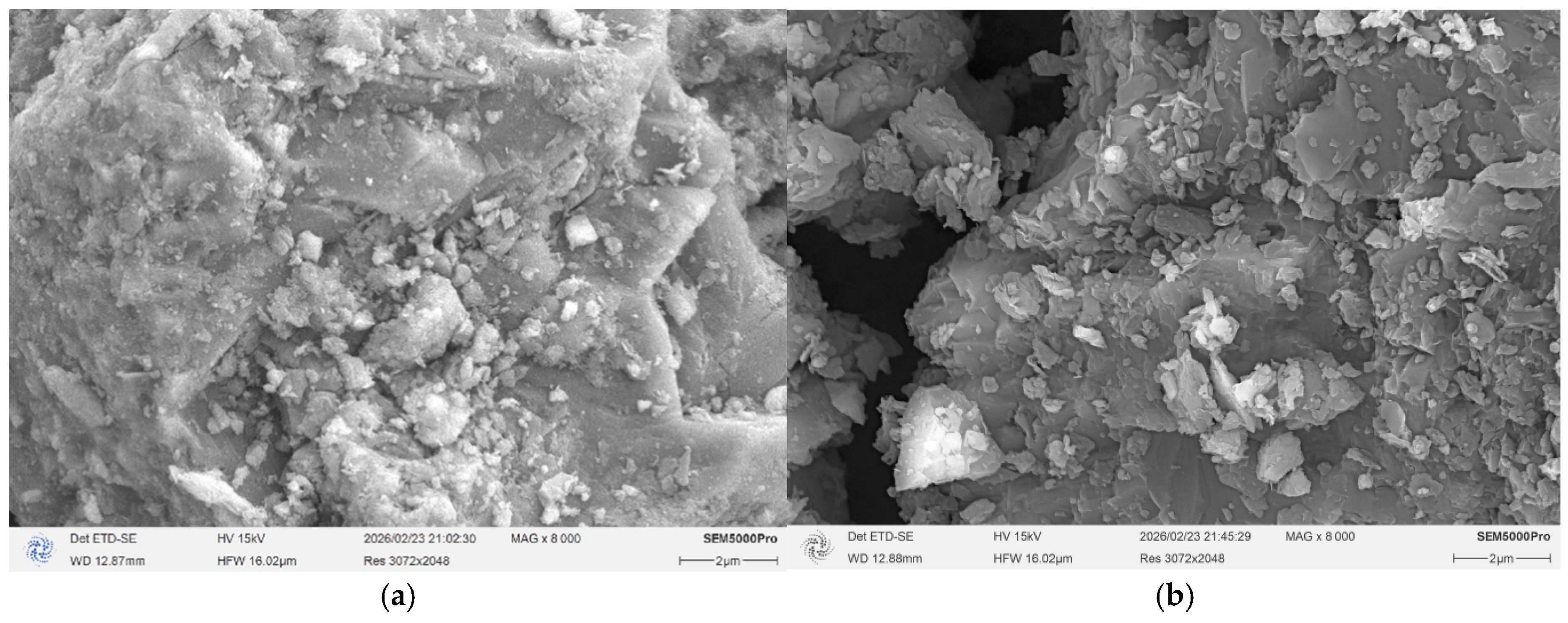 Molecules 31 02799 g005 Molecules 31 02799 g005