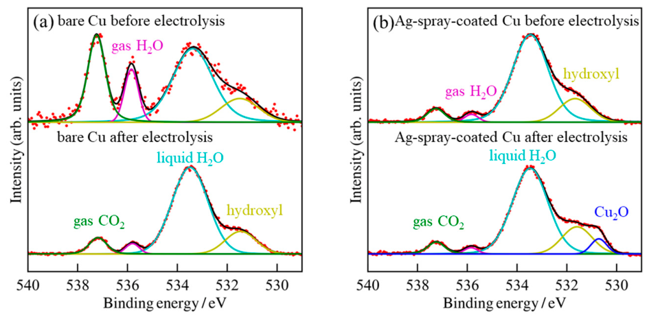 Molecules 31 02803 g007 Molecules 31 02803 g007