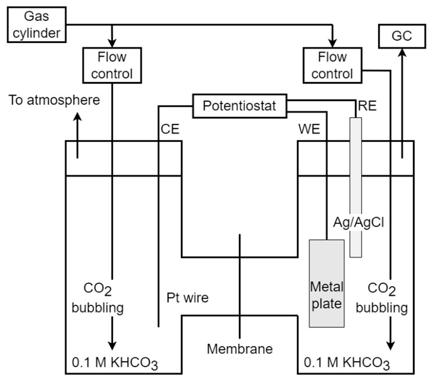 Molecules 31 02803 g010 Molecules 31 02803 g010