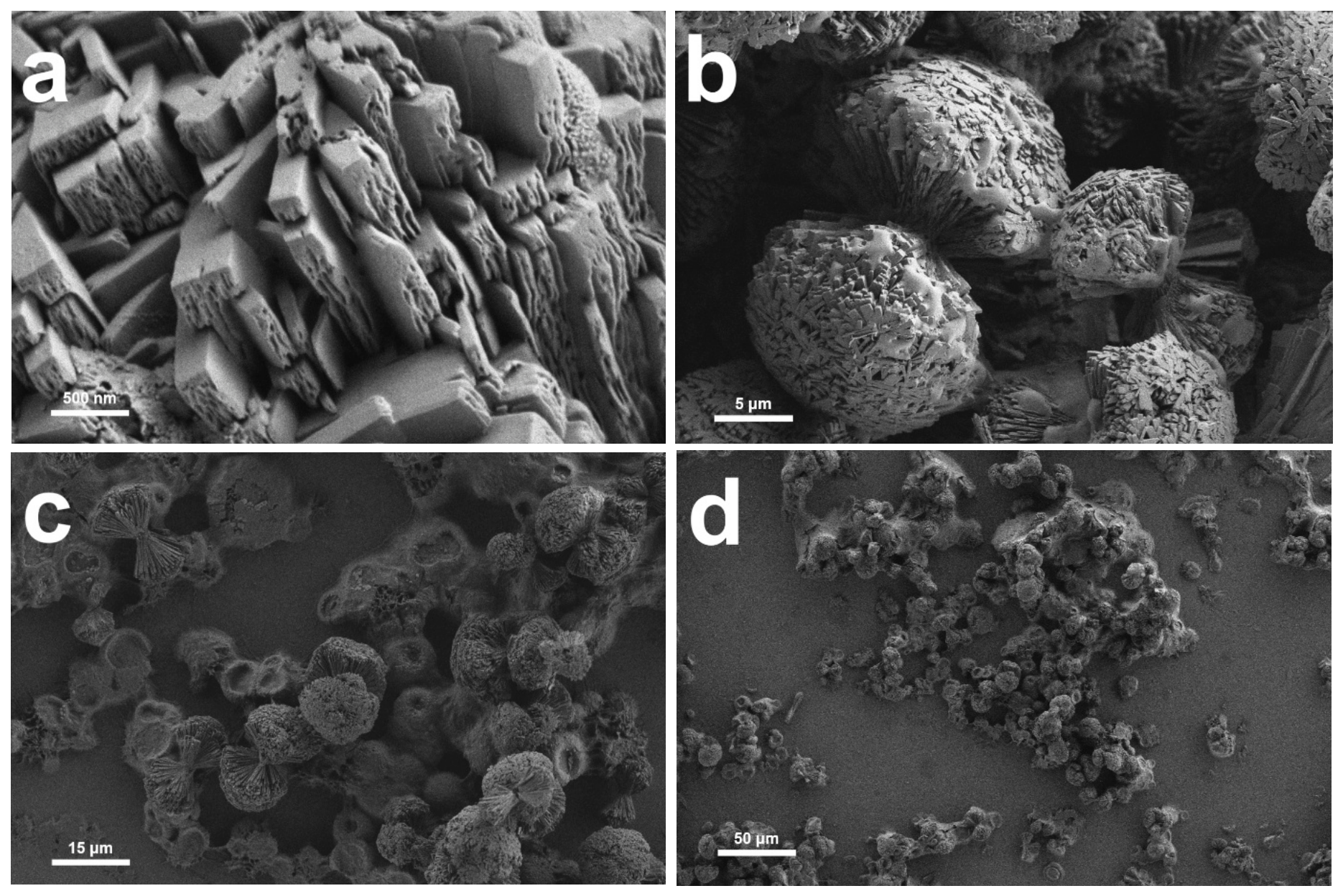 Molecules 31 02834 g004 Molecules 31 02834 g004