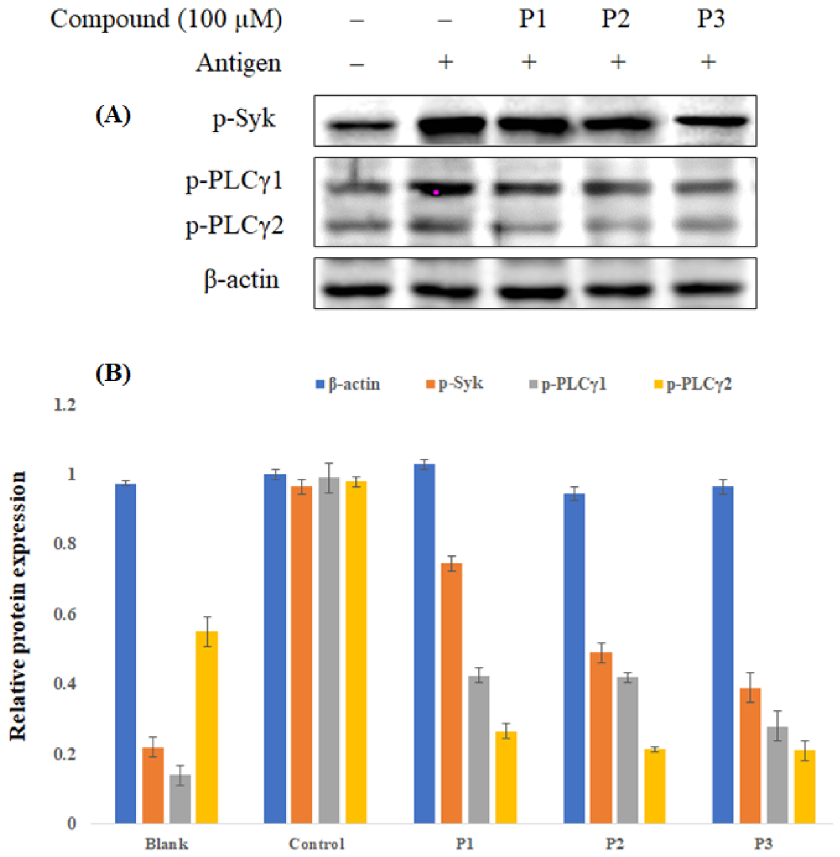 Molecules 31 02835 g004
