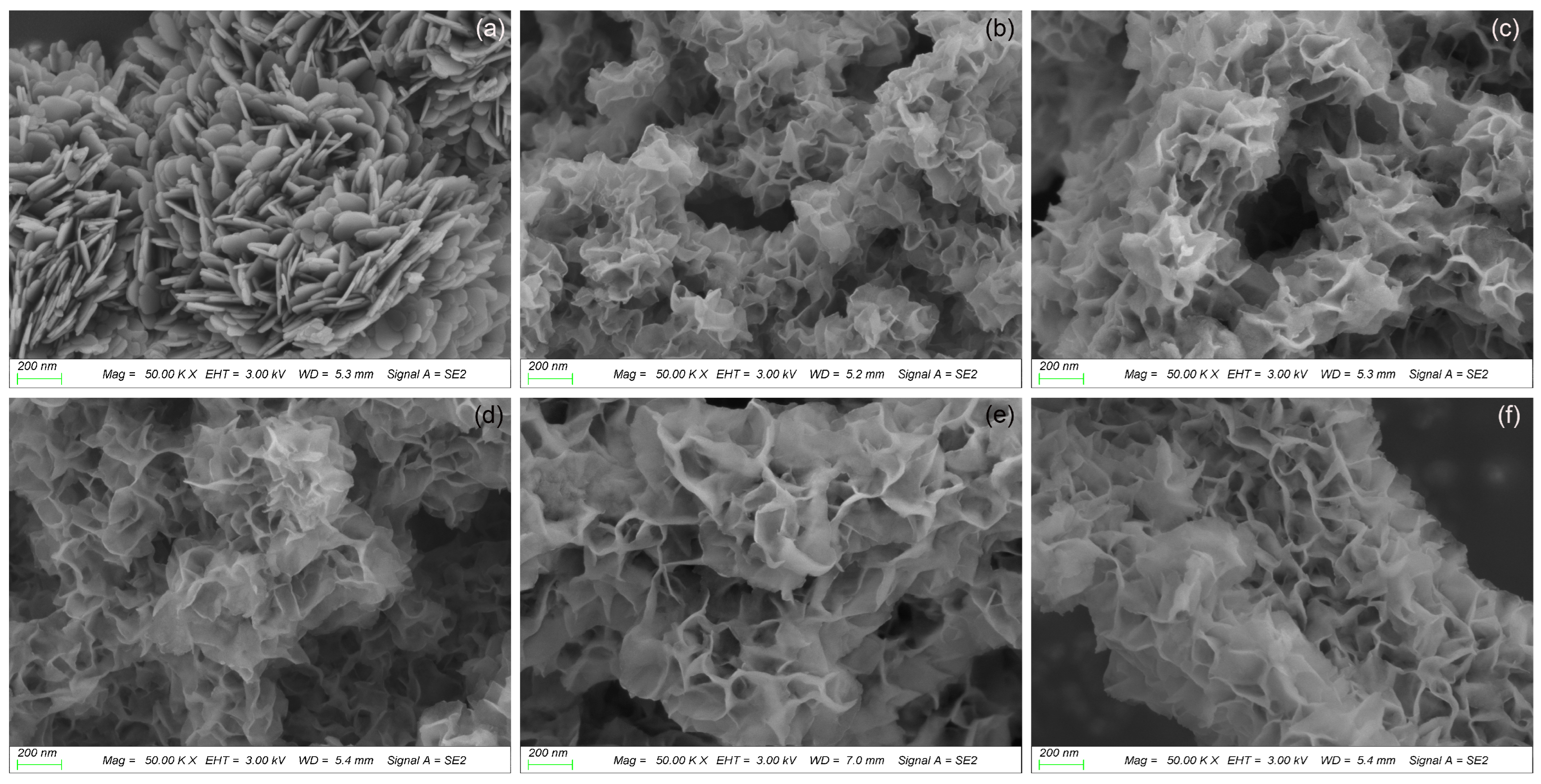 Molecules 31 02843 g004 Molecules 31 02843 g004